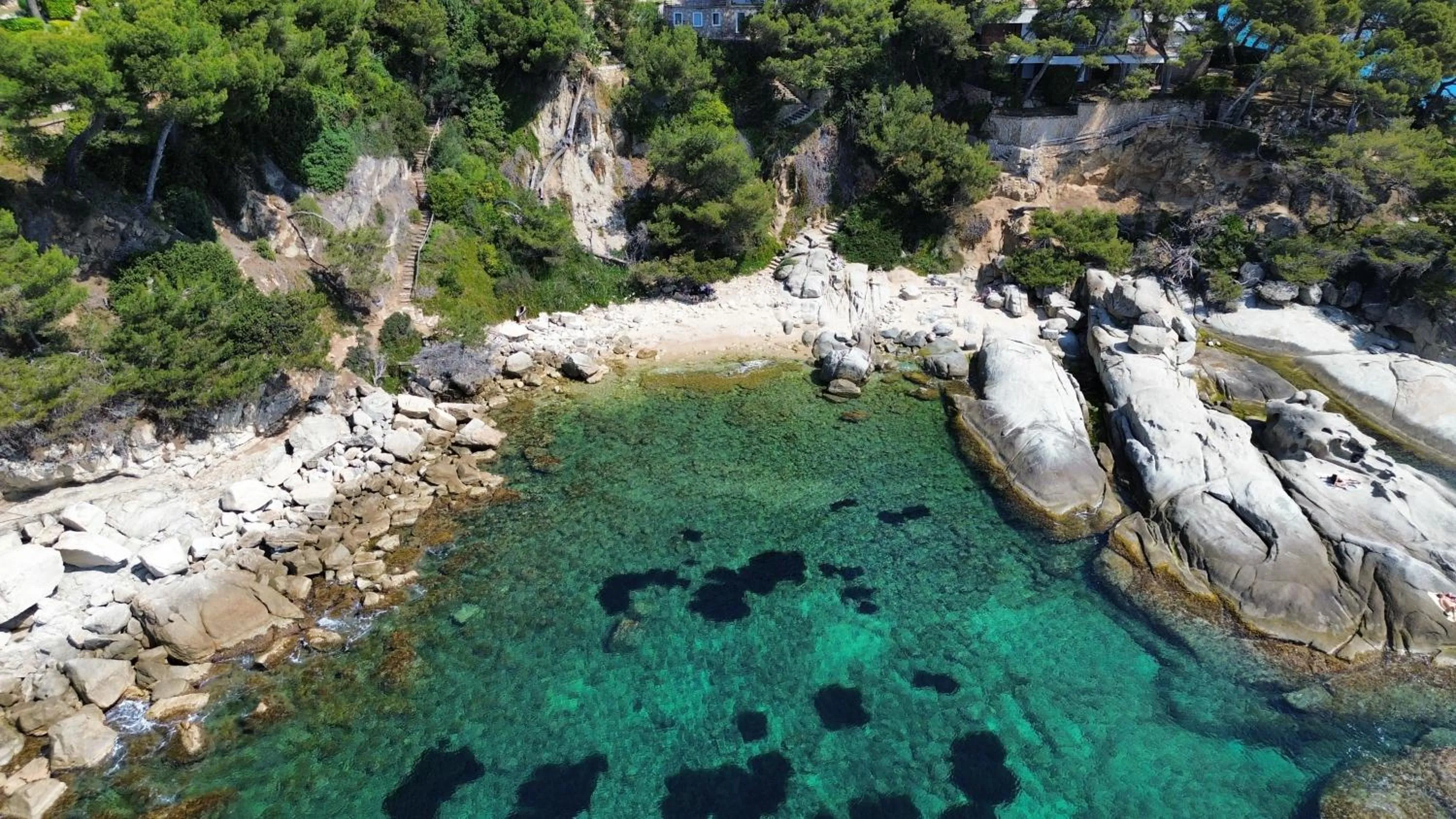 Day in Hotel Rosamar