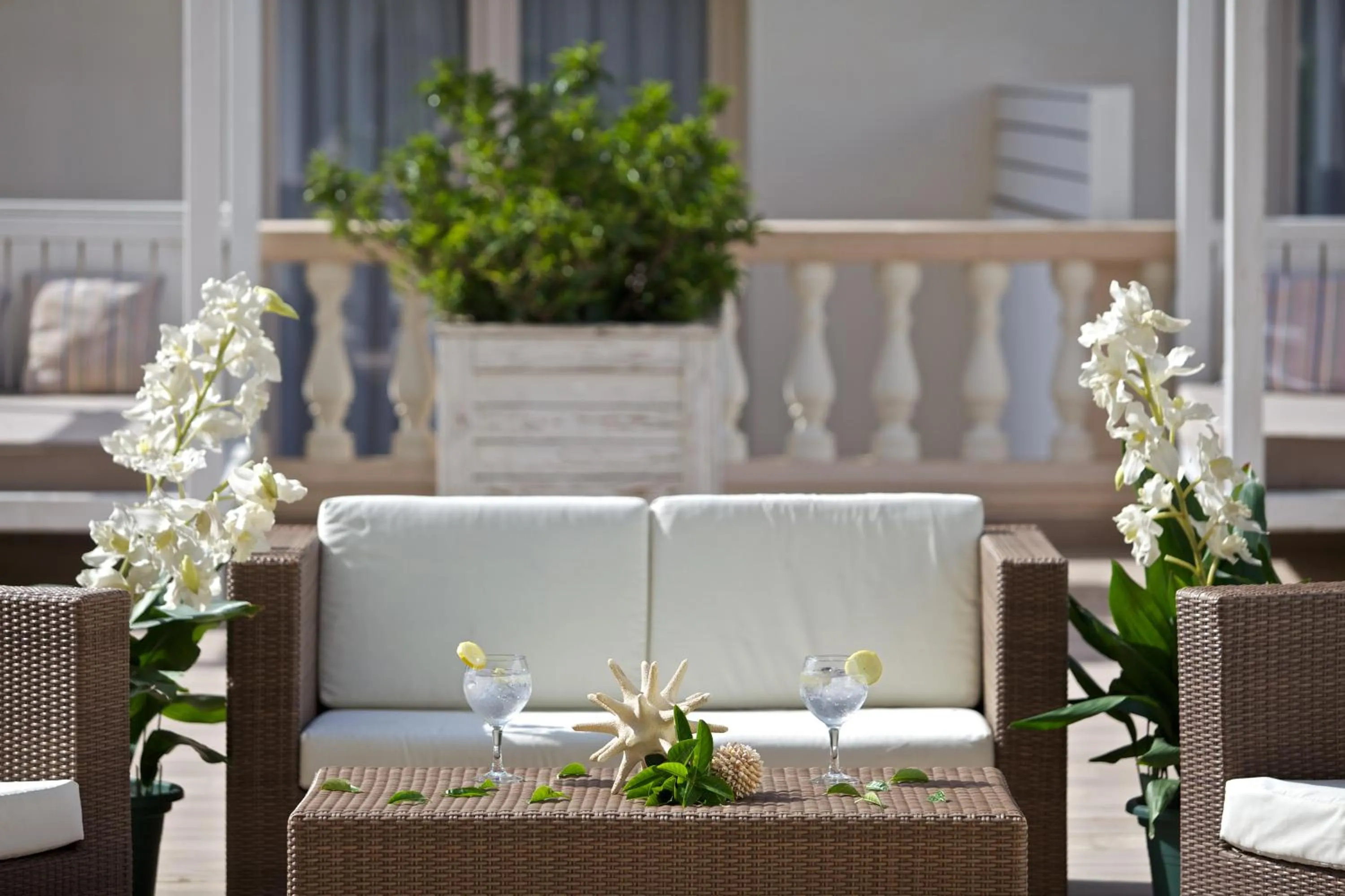 Garden in Hotel Rosamar