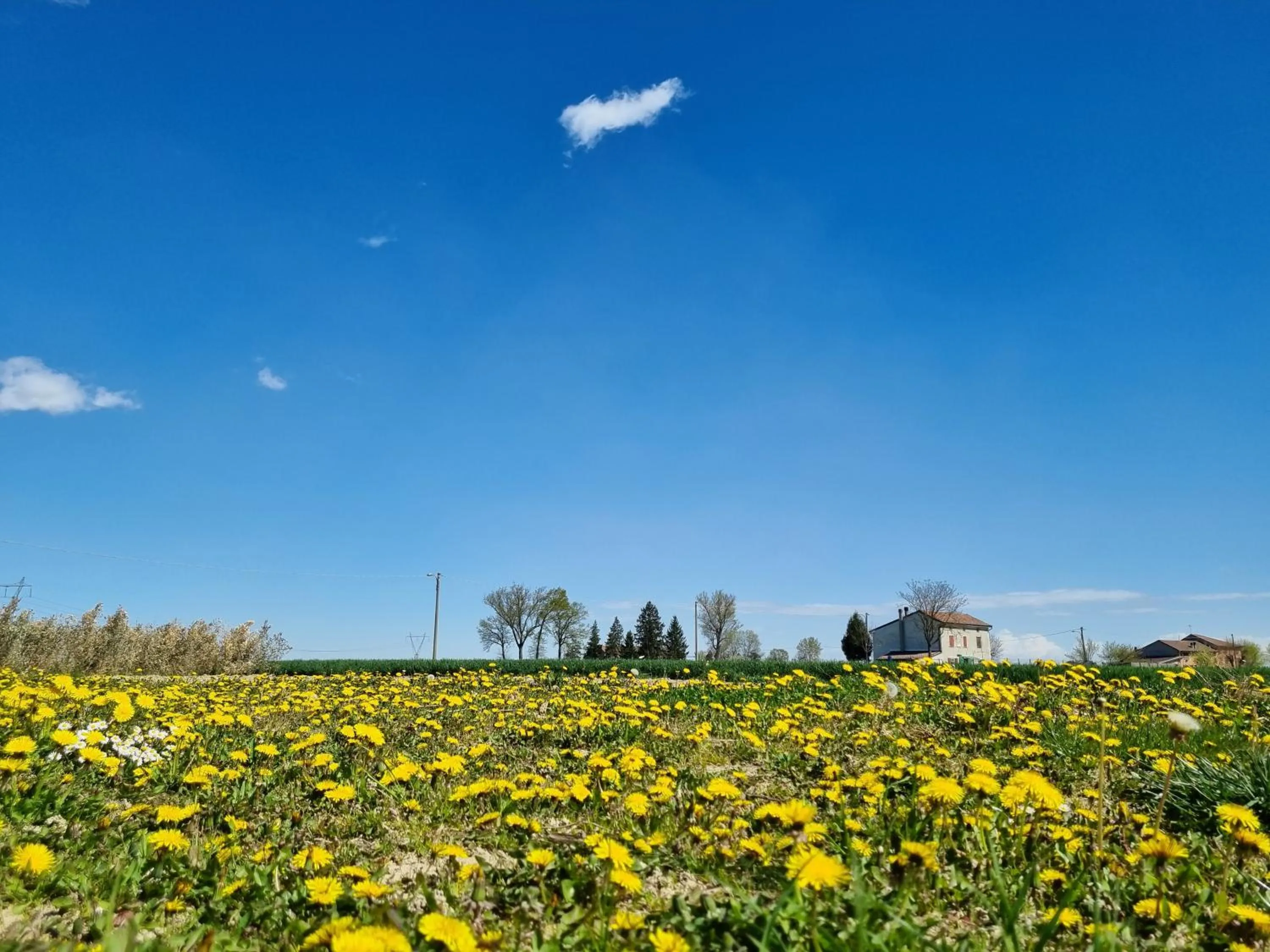 View (from property/room) in Antico Pioppo
