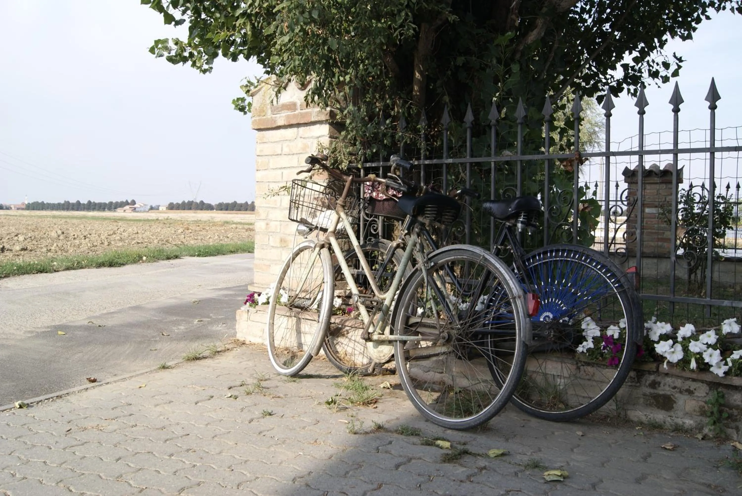 Cycling in Antico Pioppo