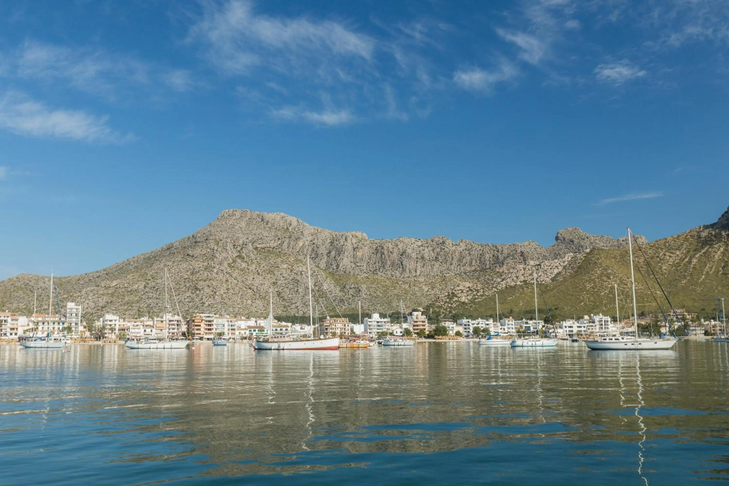 Area and facilities in Apartamentos Habitat