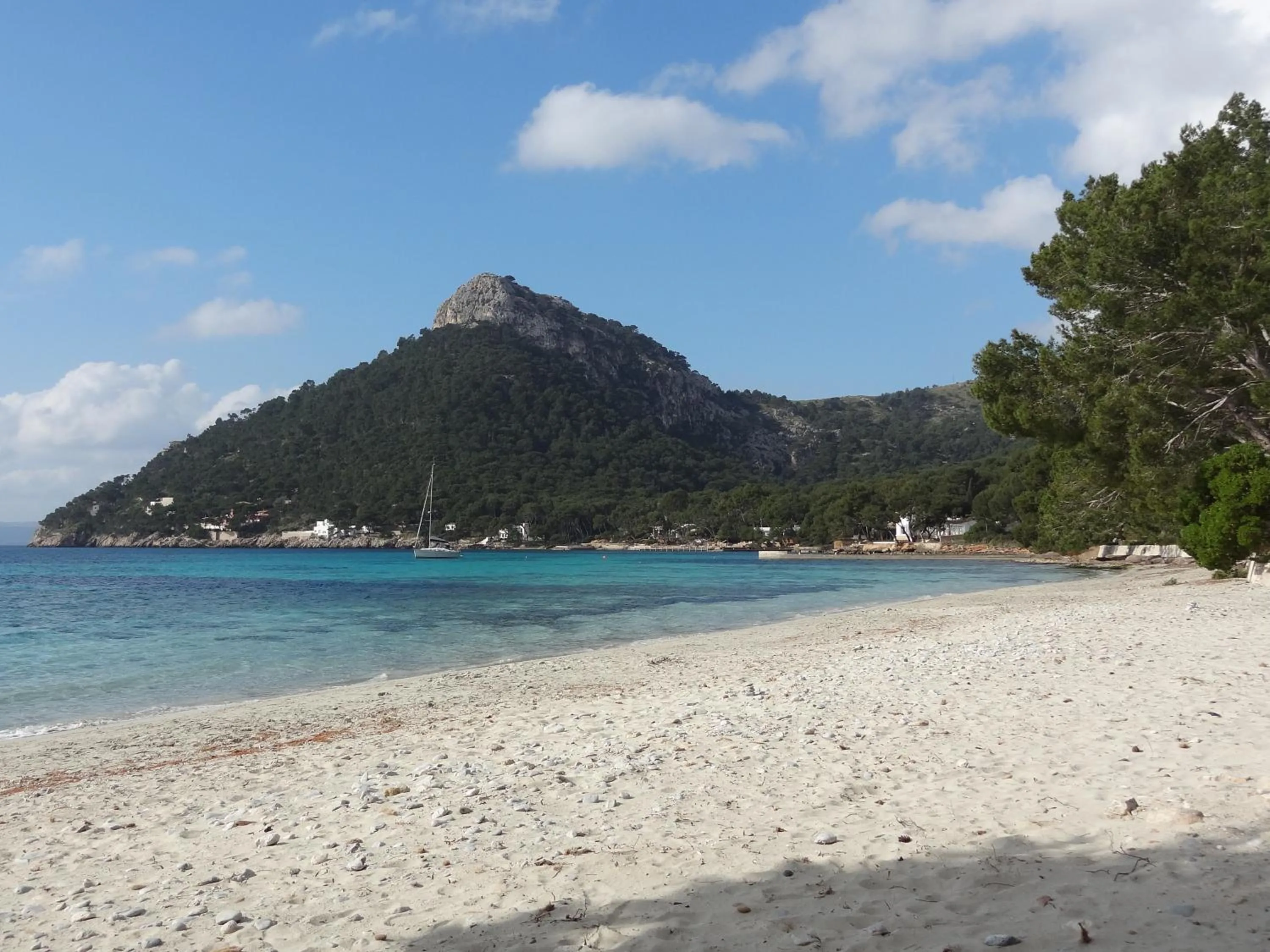 Area and facilities in Apartamentos Habitat