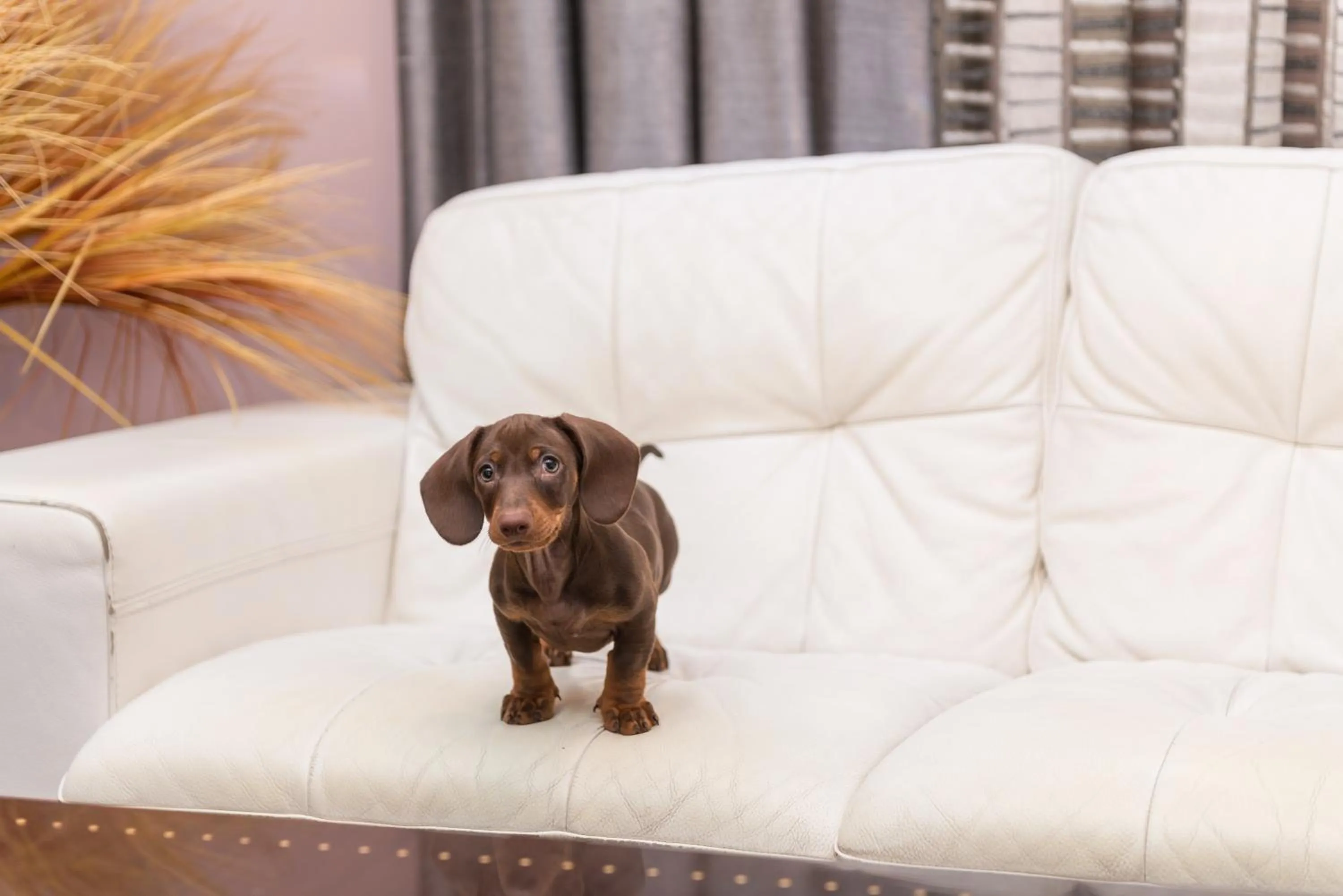 Living room in Hotel Torre Azul & Spa - Adults Only