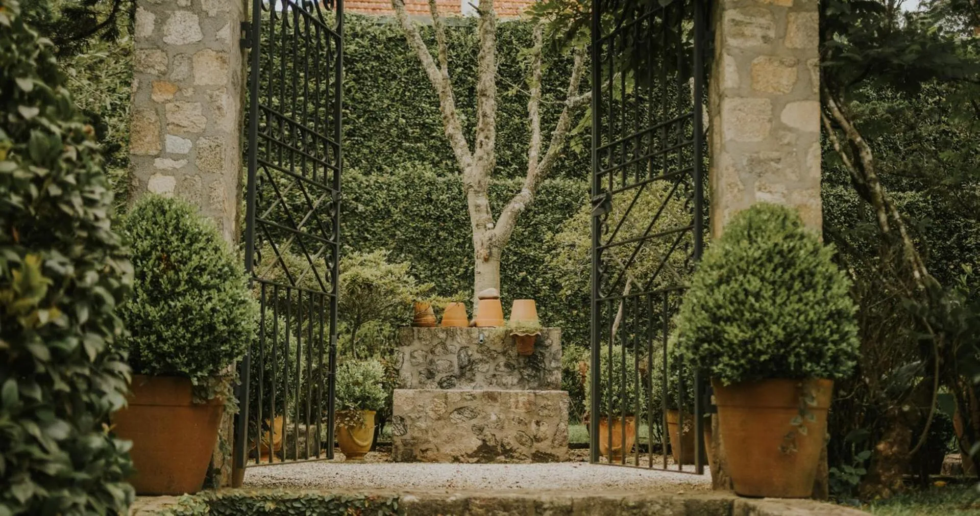 Garden in Roots Resort