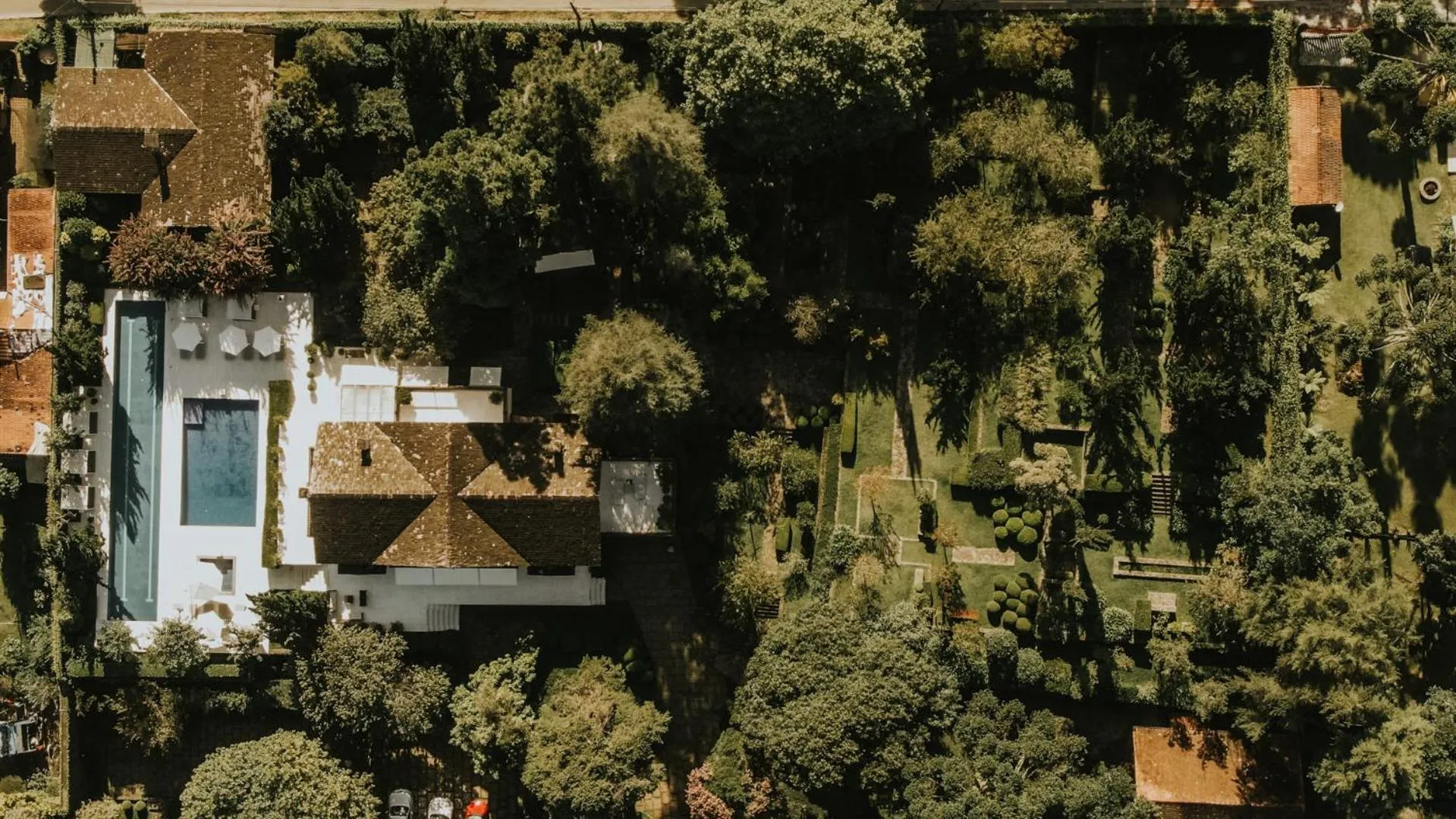 Bird's eye view in Roots Resort