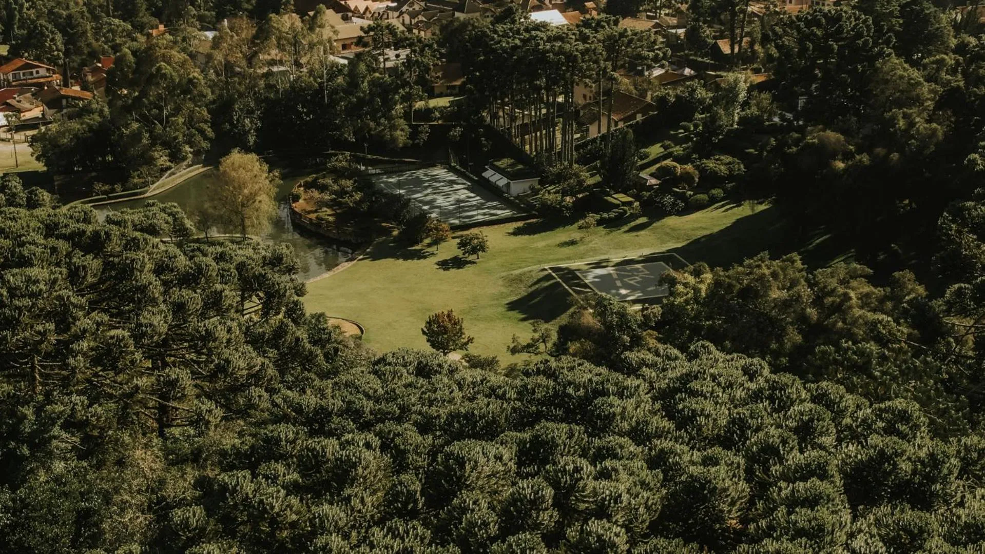 Natural landscape in Roots Resort