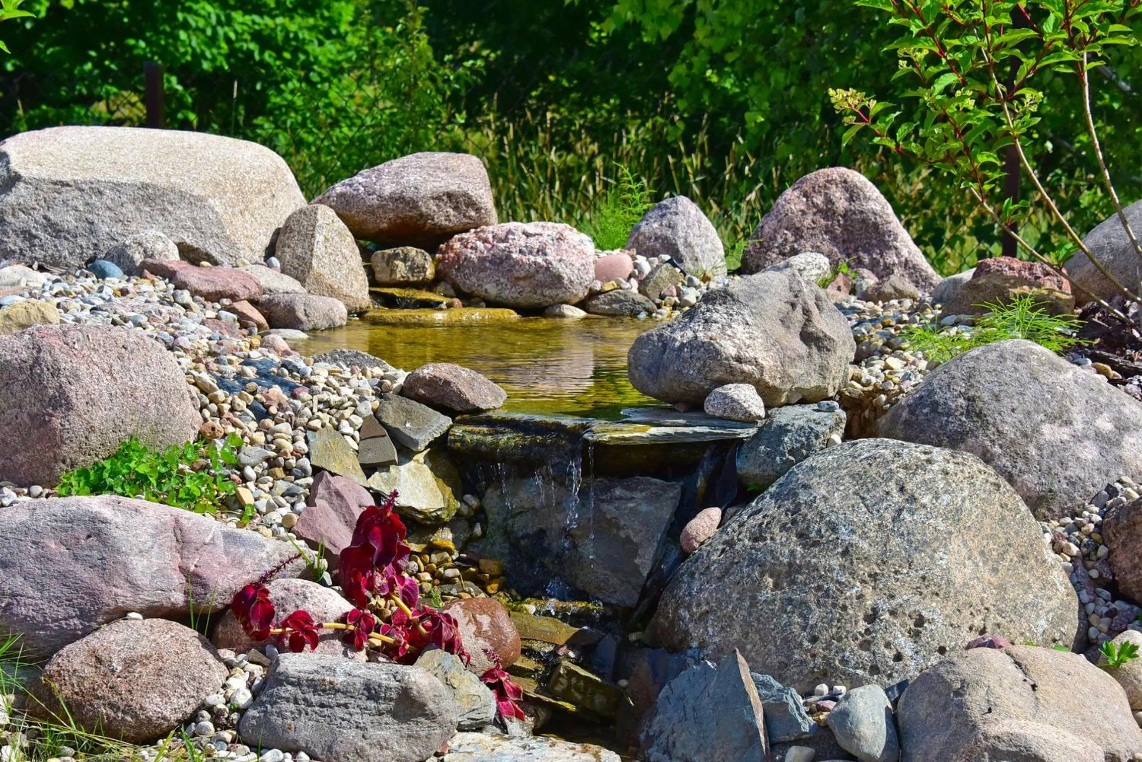 Garden view in Auroradream
