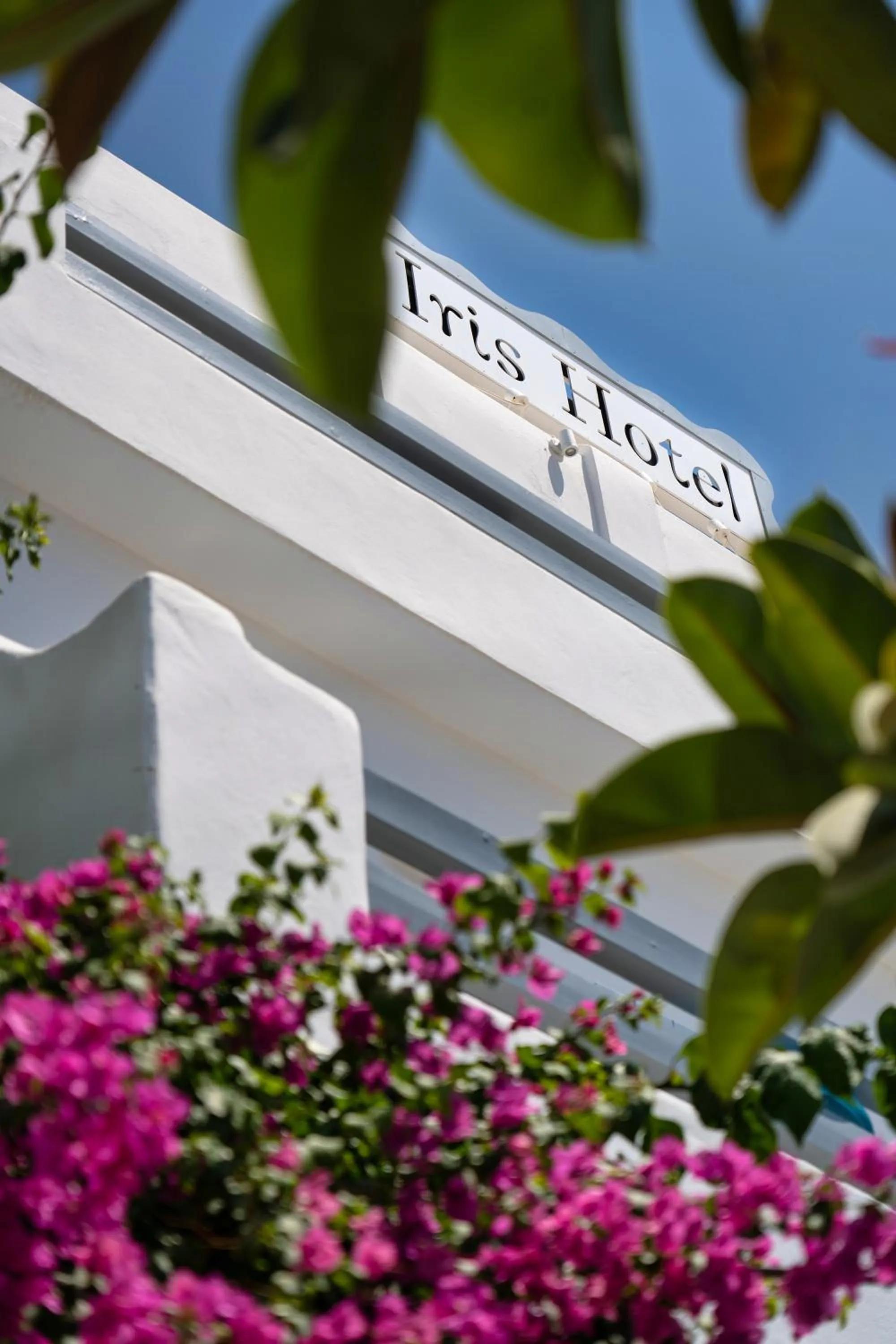 Property building in Hotel Iris