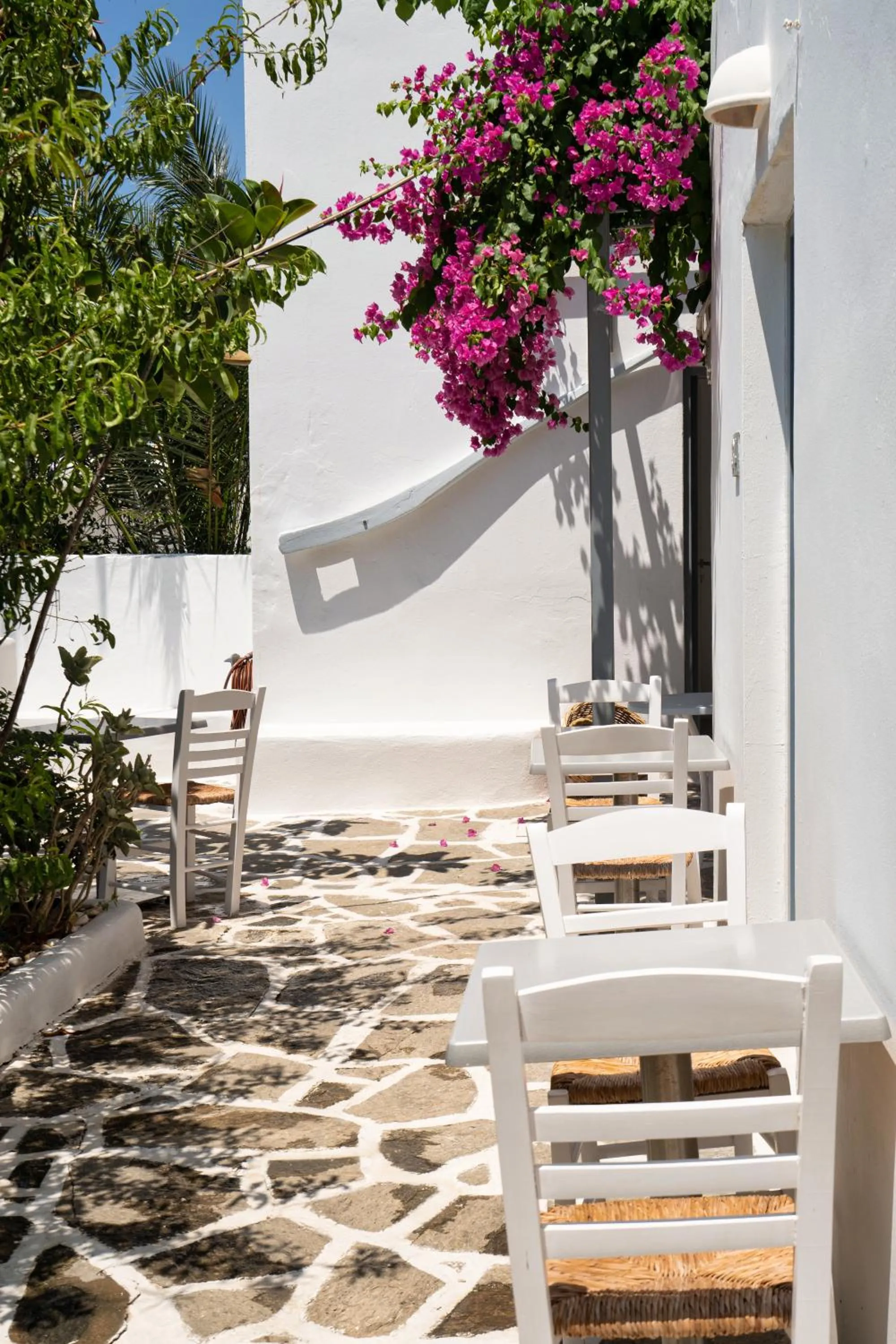 Property building in Hotel Iris