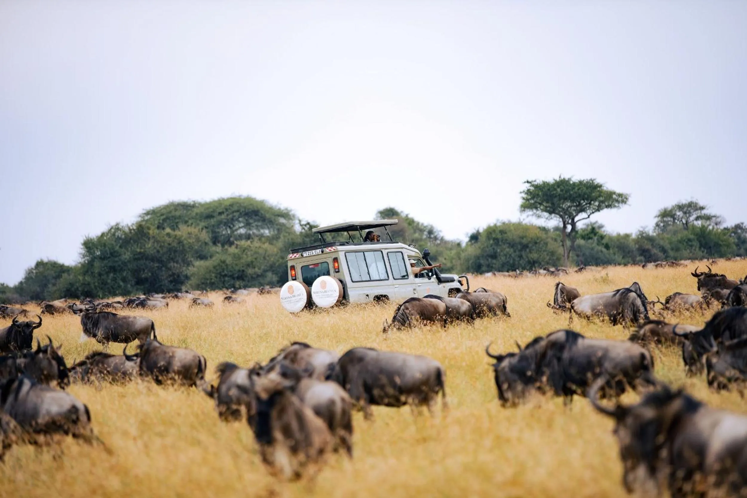 Activities in Kirawira Serena Camp