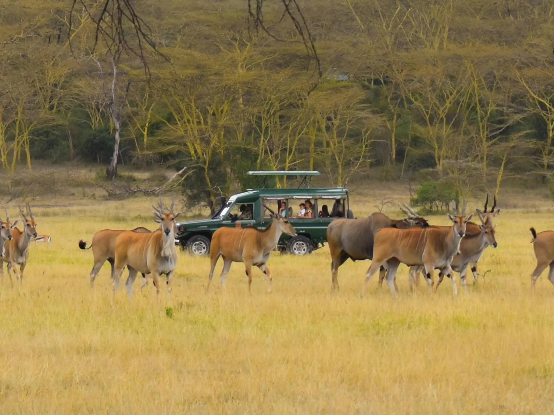 Natural landscape in Lake Elmenteita Serena Camp