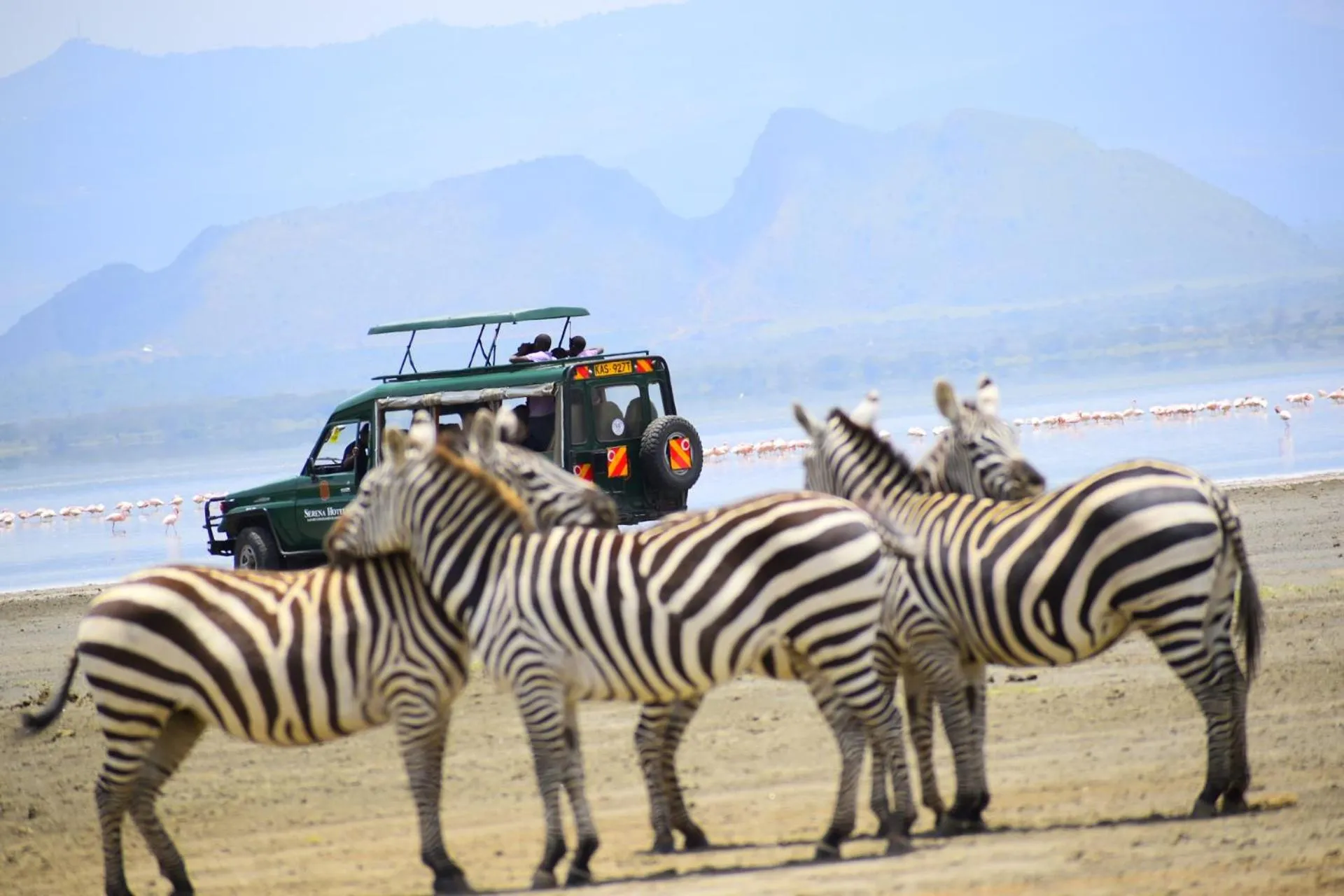 Animals in Lake Elmenteita Serena Camp