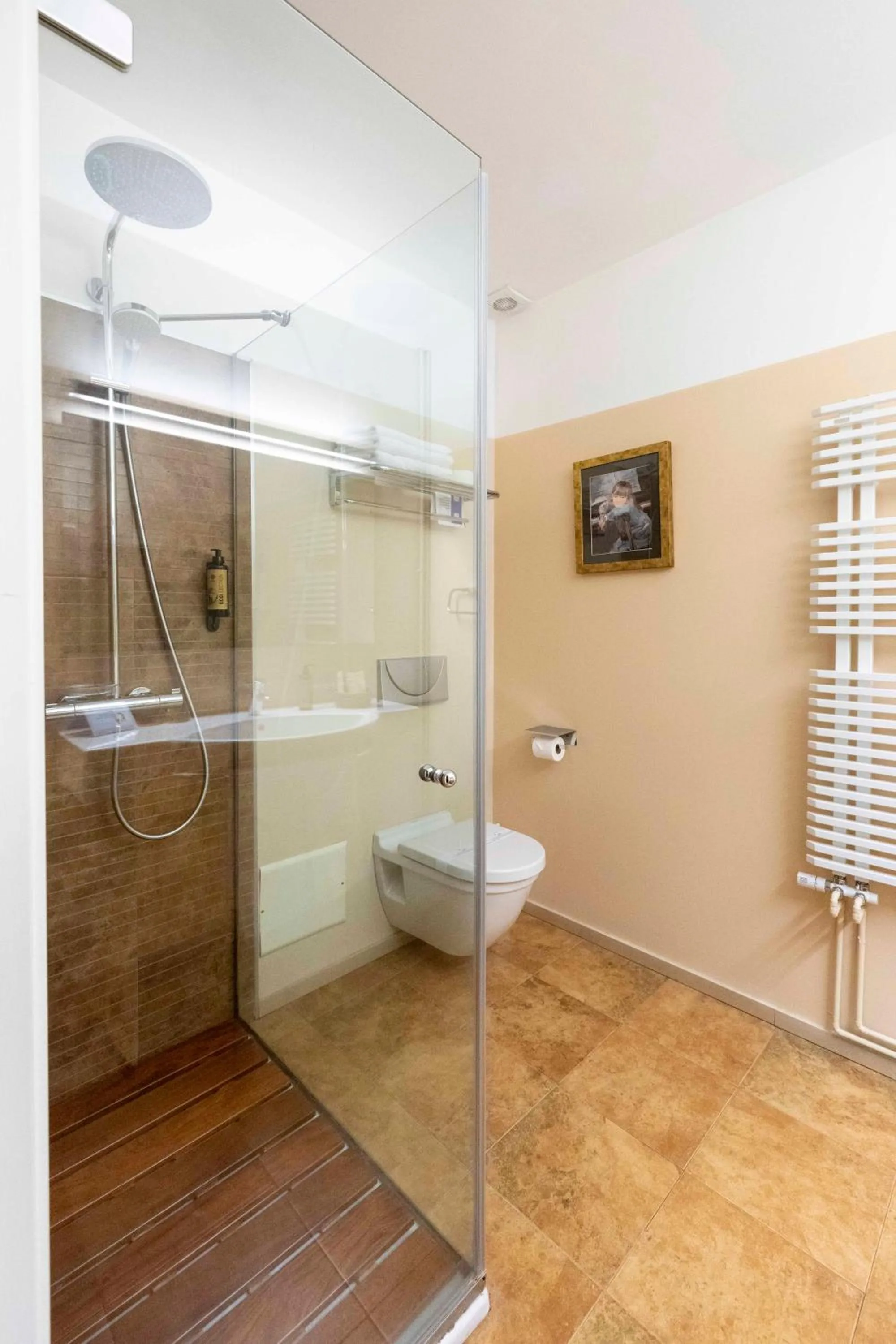 Shower in Hotel La Freixera