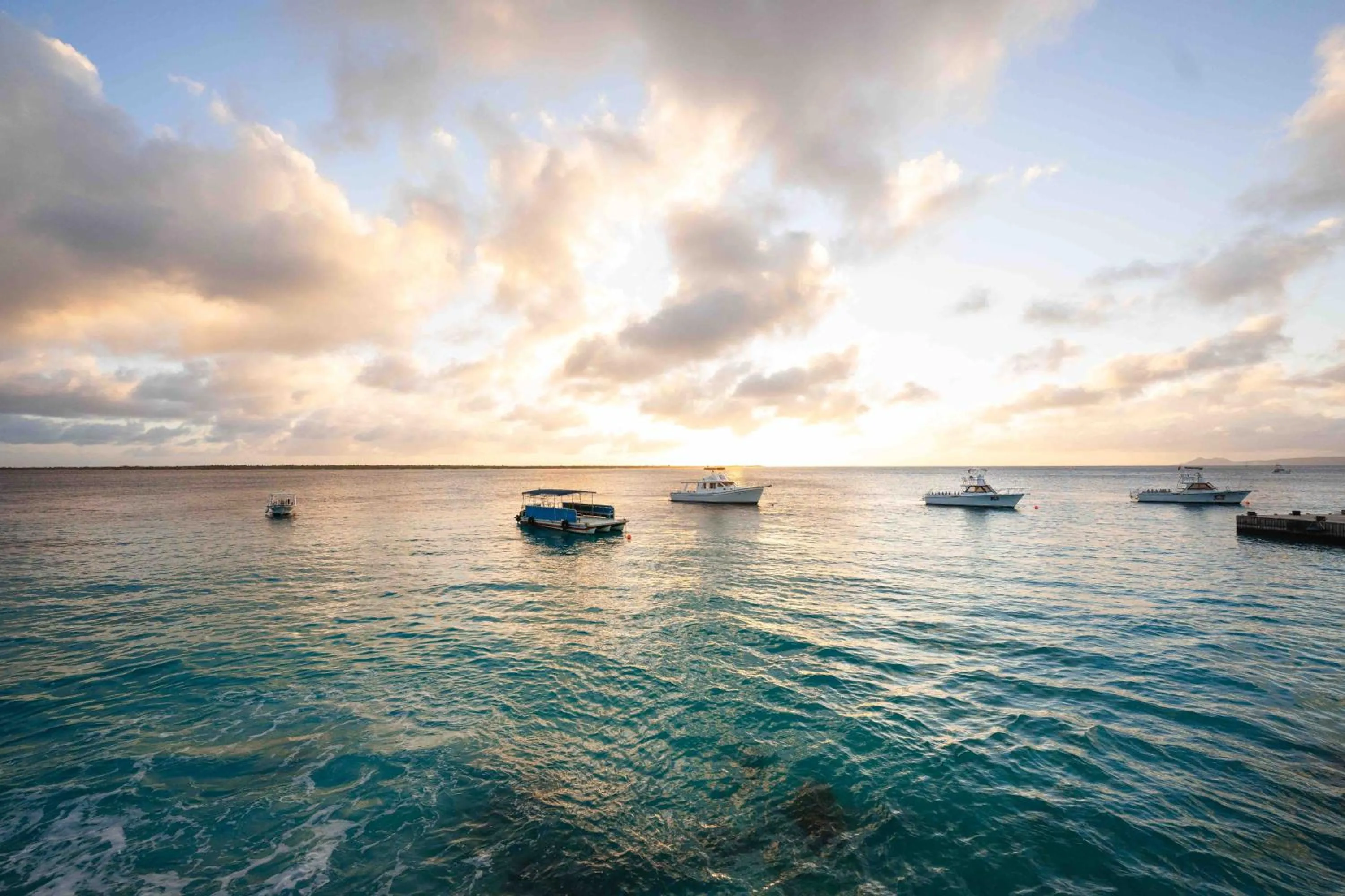 Natural landscape in Captain Don's Habitat