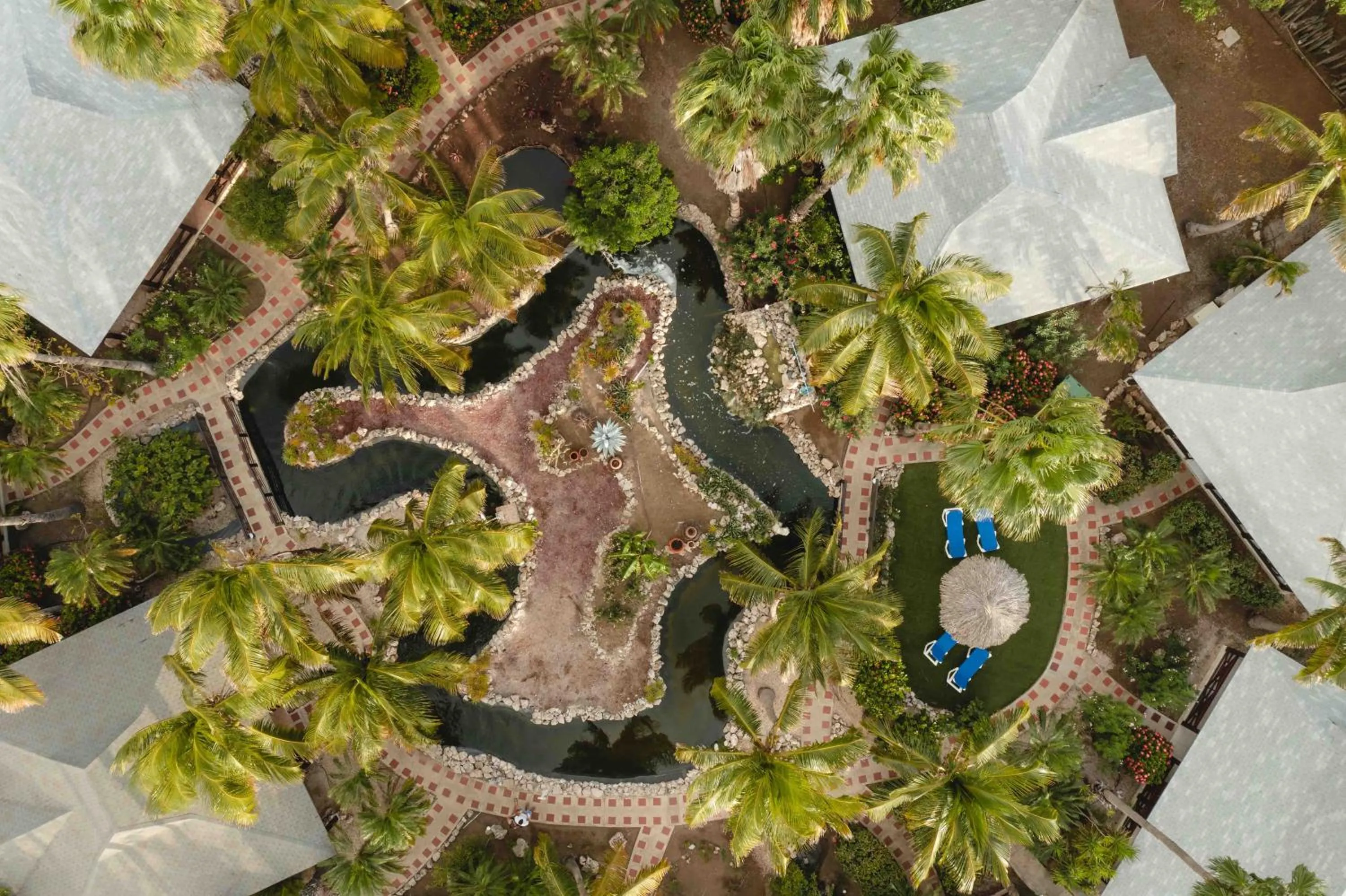 Bird's eye view in Captain Don's Habitat