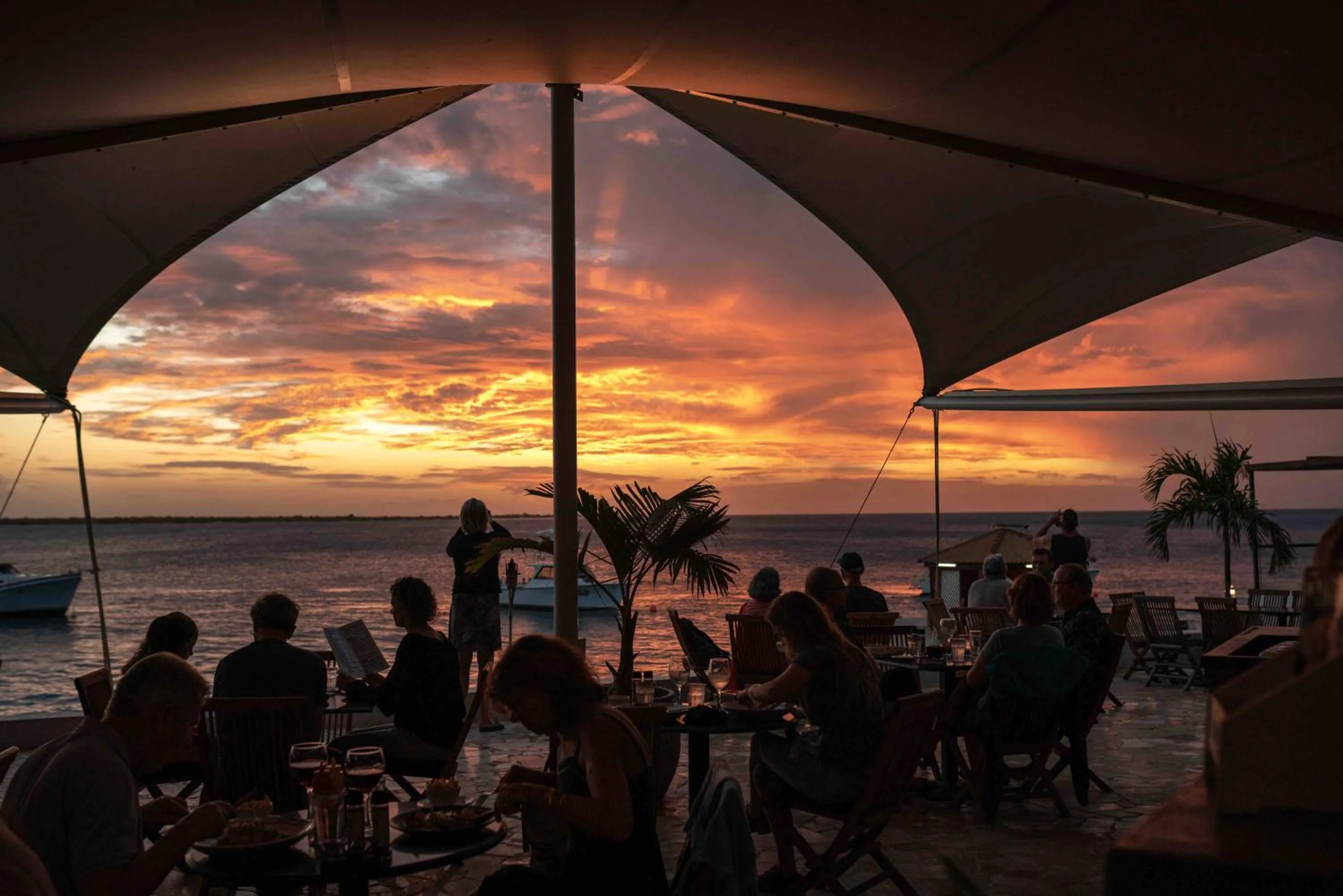 People in Captain Don's Habitat