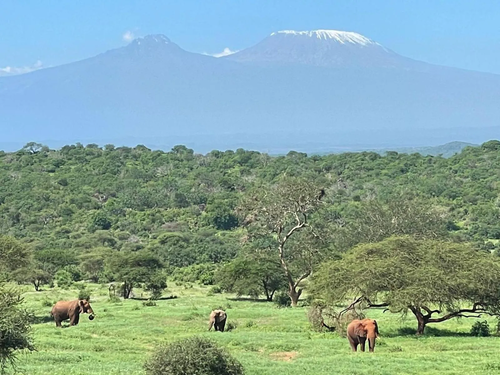 Activities in Kilaguni Serena Safari Lodge