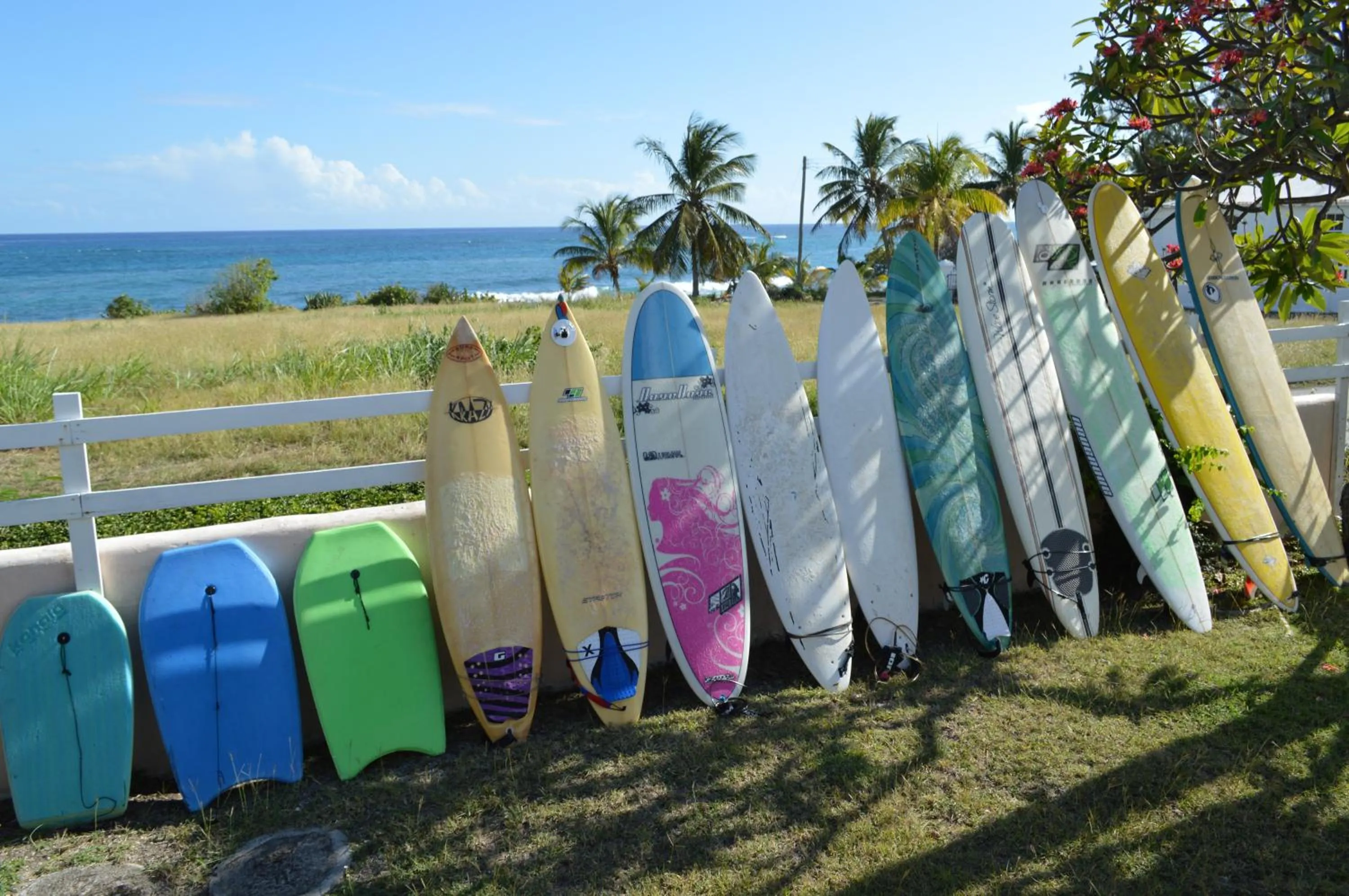 Sports in Tropical Gecko Studio - Sweet Jewel Apartments