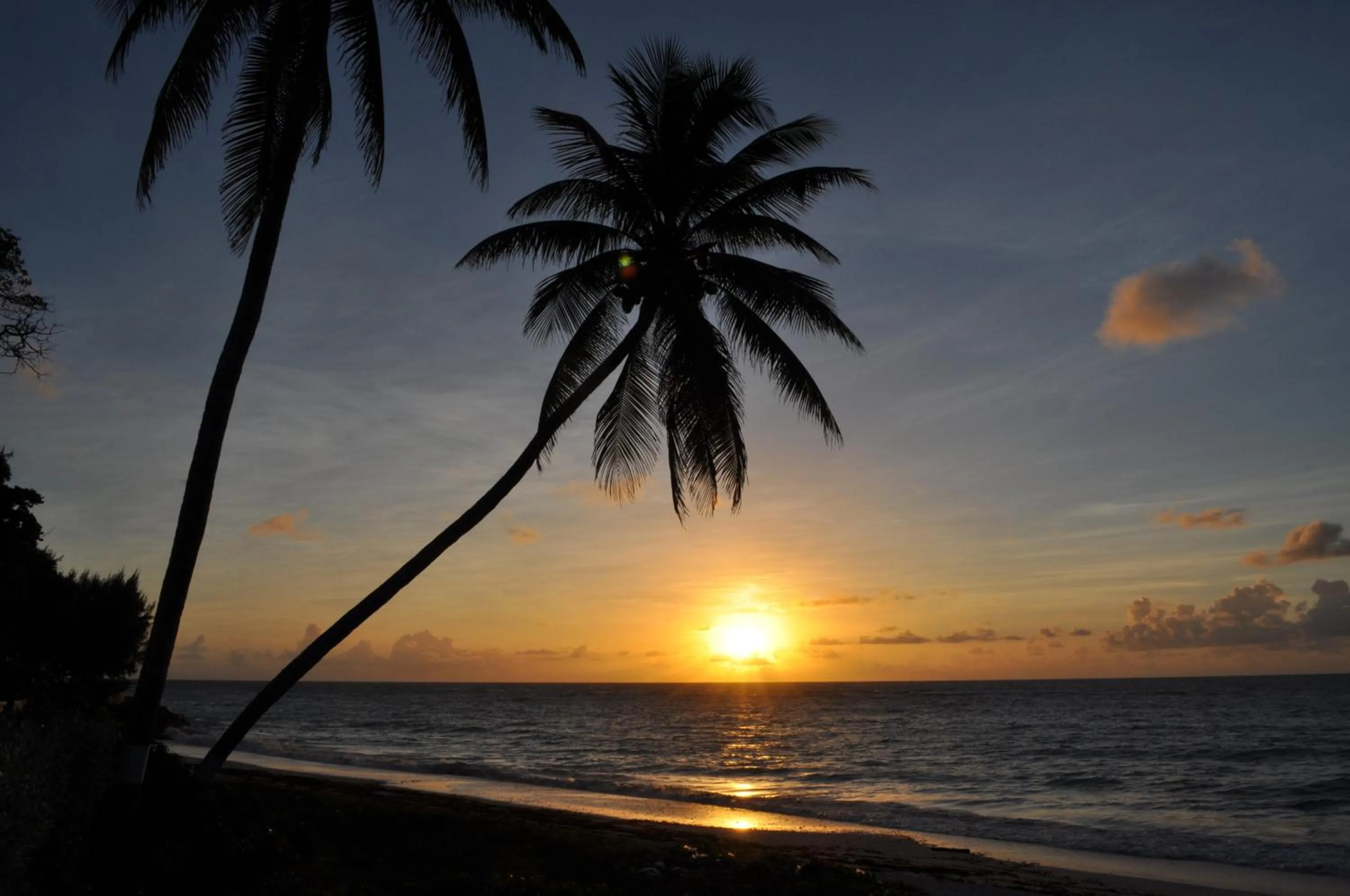 Sunrise in Tropical Gecko Studio - Sweet Jewel Apartments