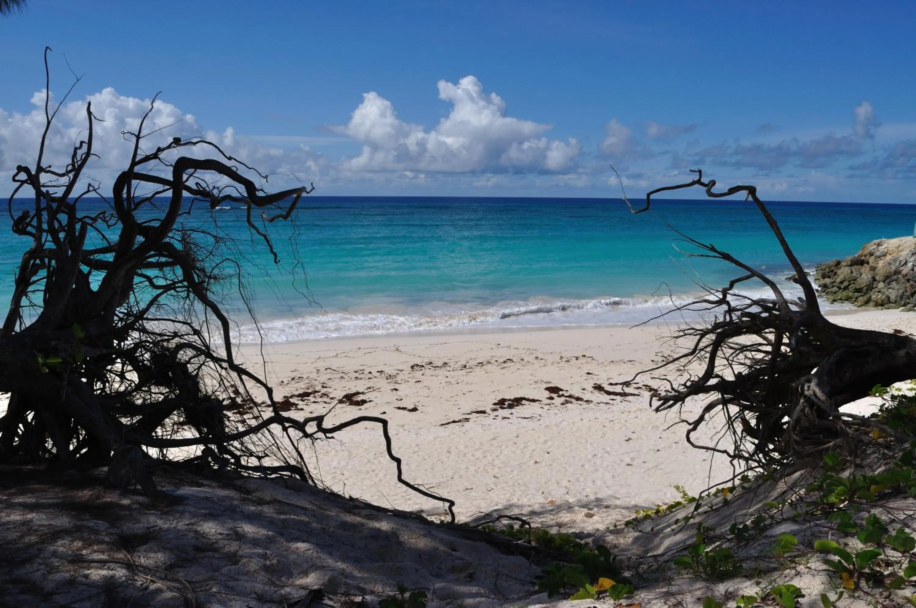 Beach in Tropical Gecko Studio - Sweet Jewel Apartments