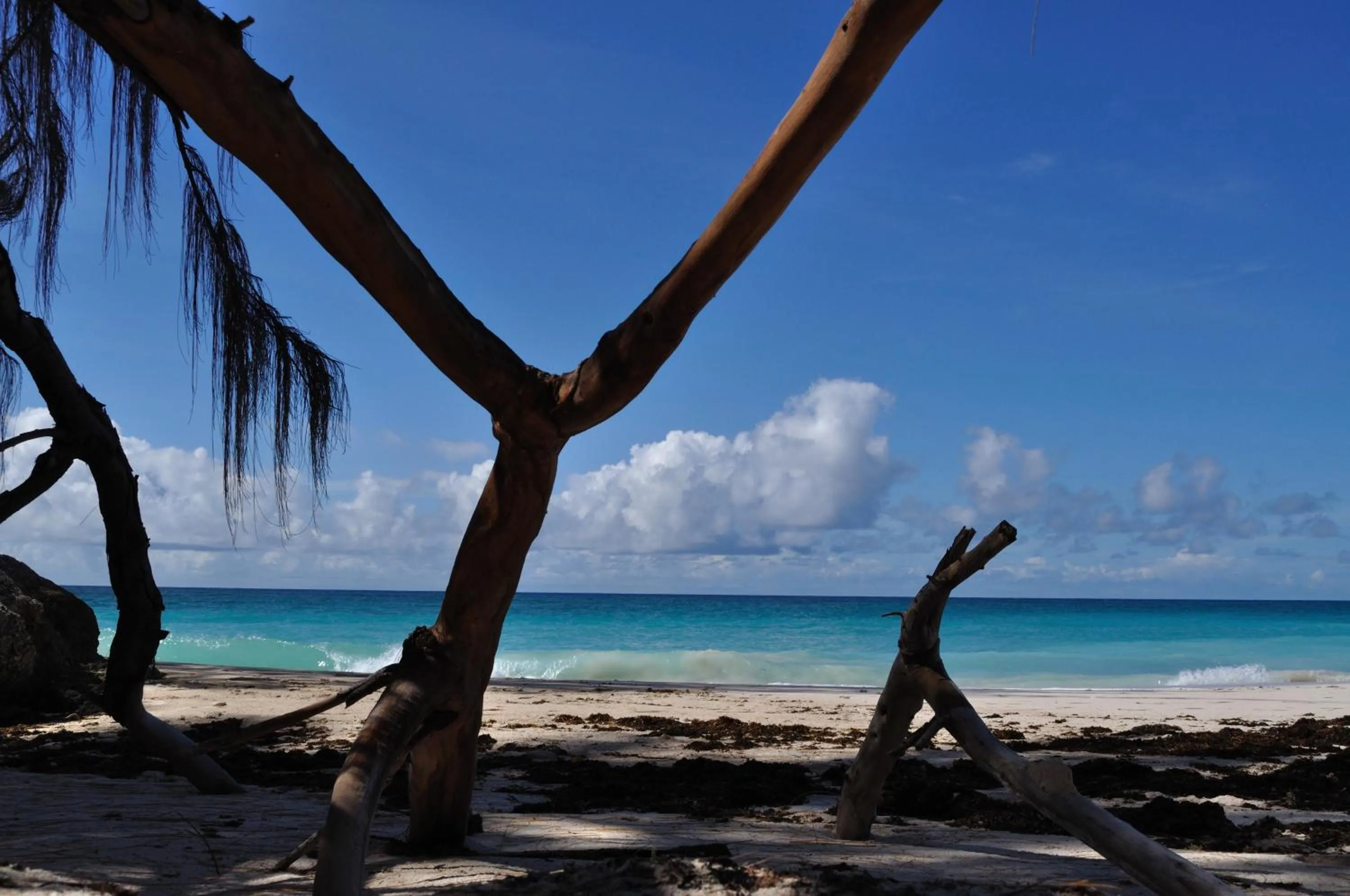 Beach in Tropical Gecko Studio - Sweet Jewel Apartments