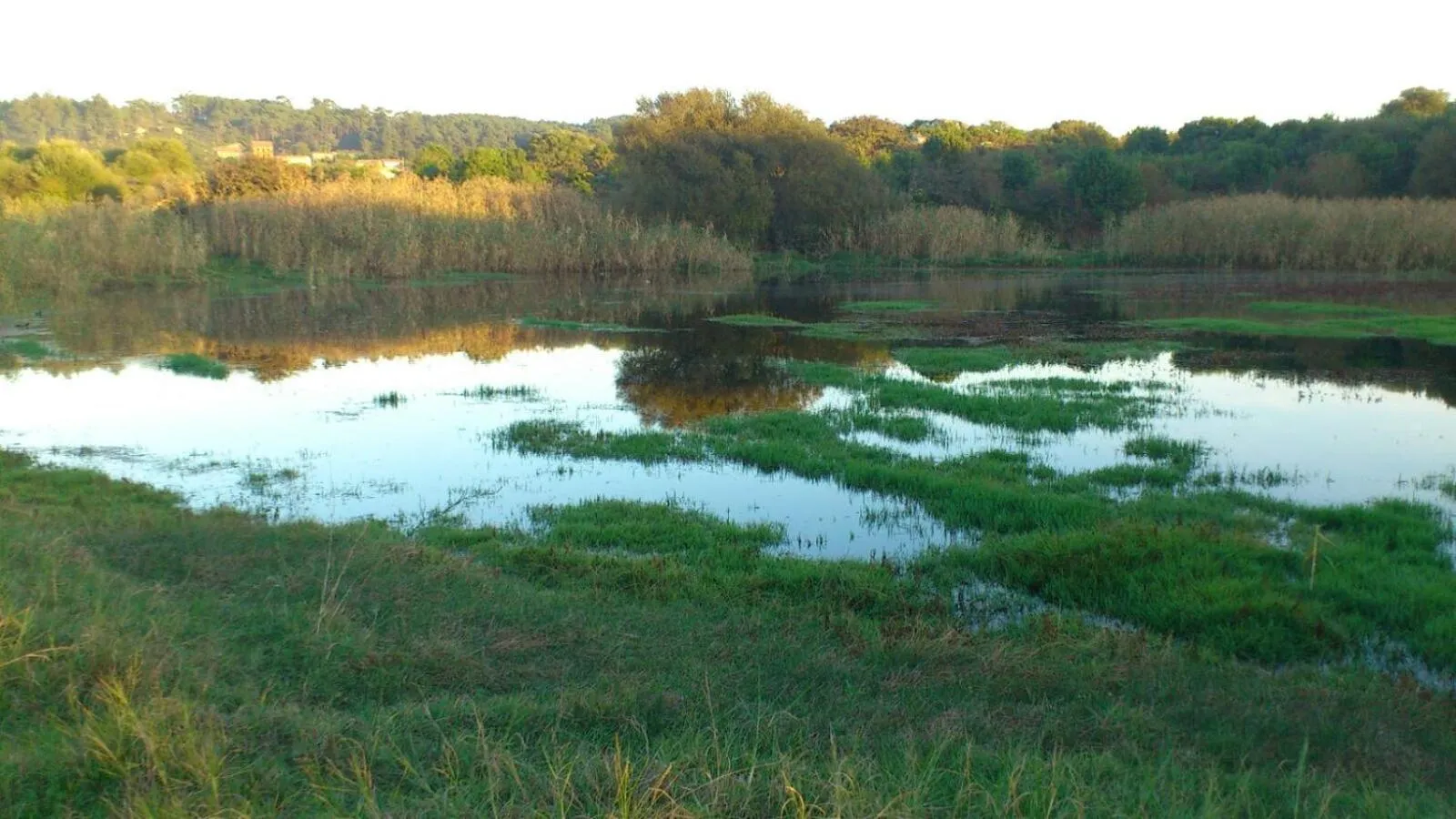 Nearby landmark in Hotel Torres Touriño