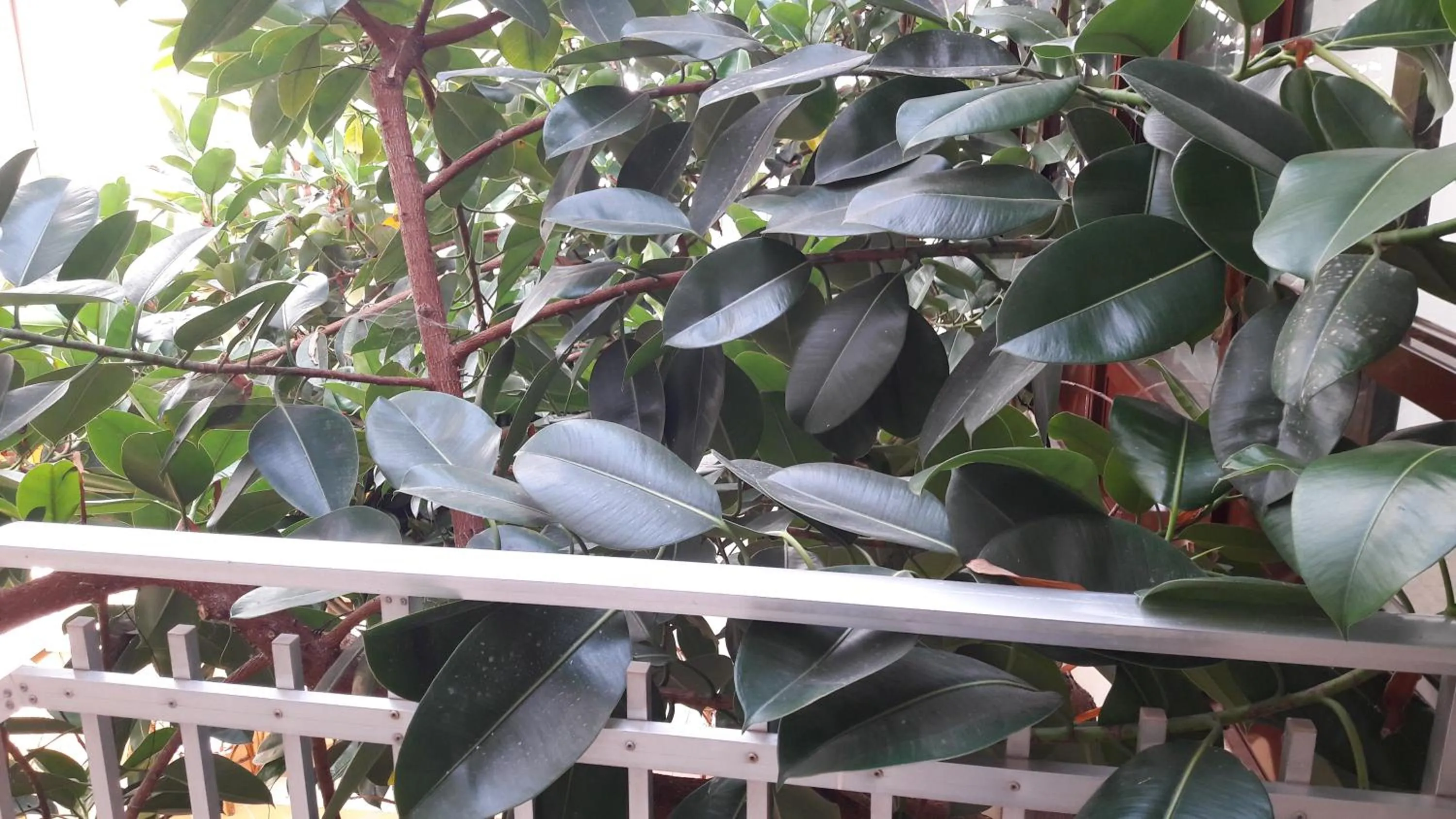 View (from property/room) in Hotel Torres Touriño