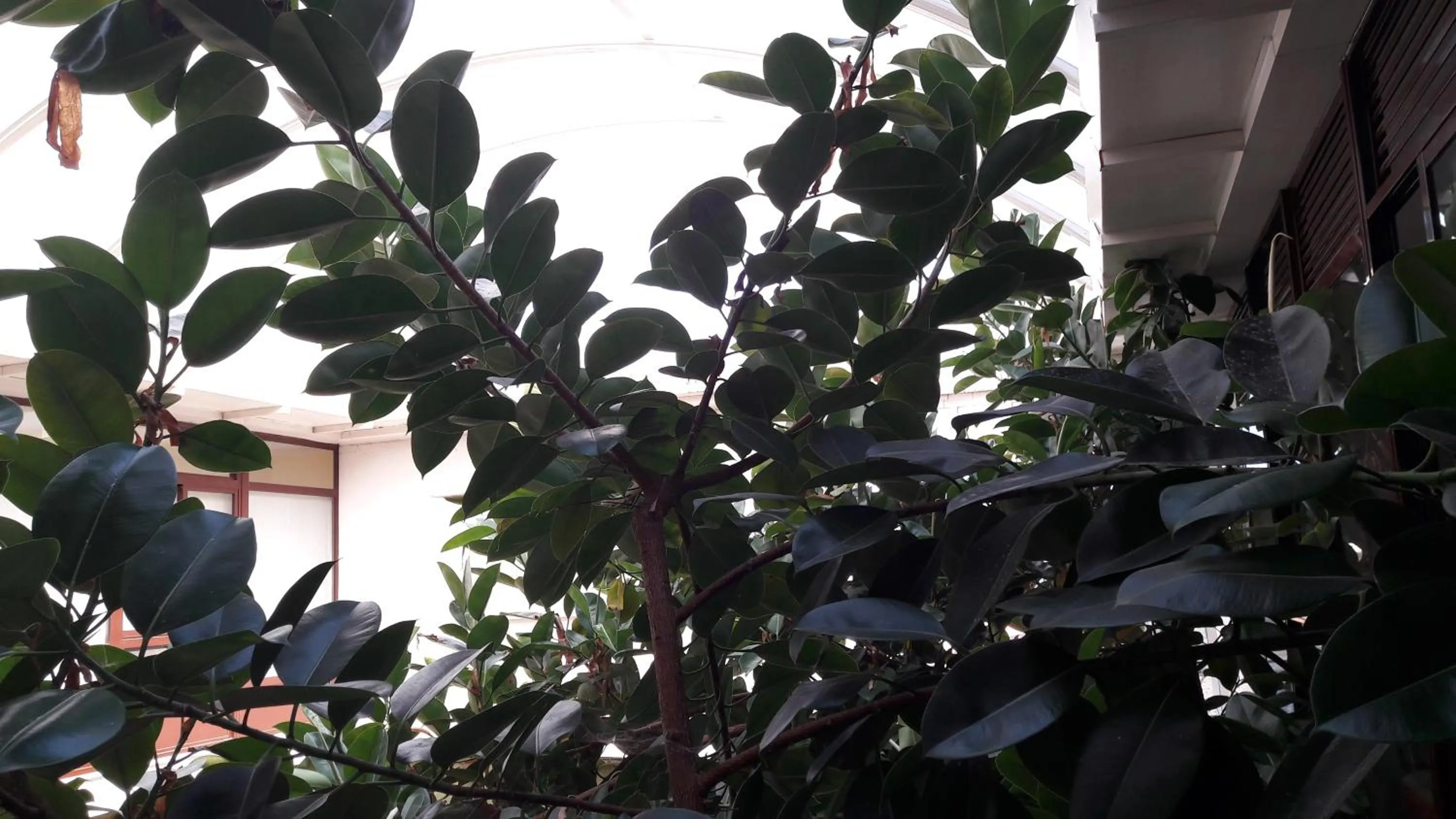 View (from property/room) in Hotel Torres Touriño