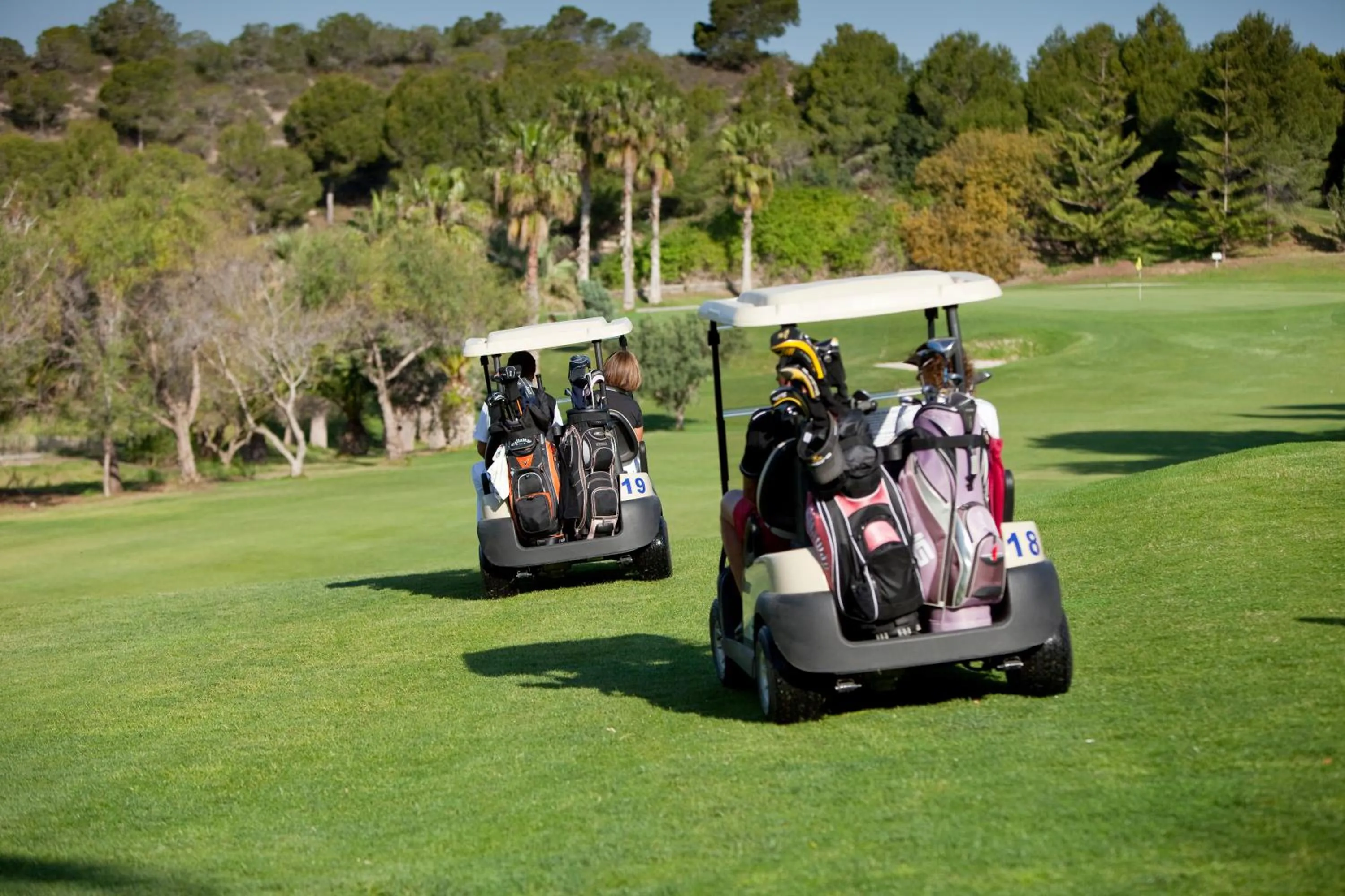 Golfcourse in Hotel Golf Campoamor