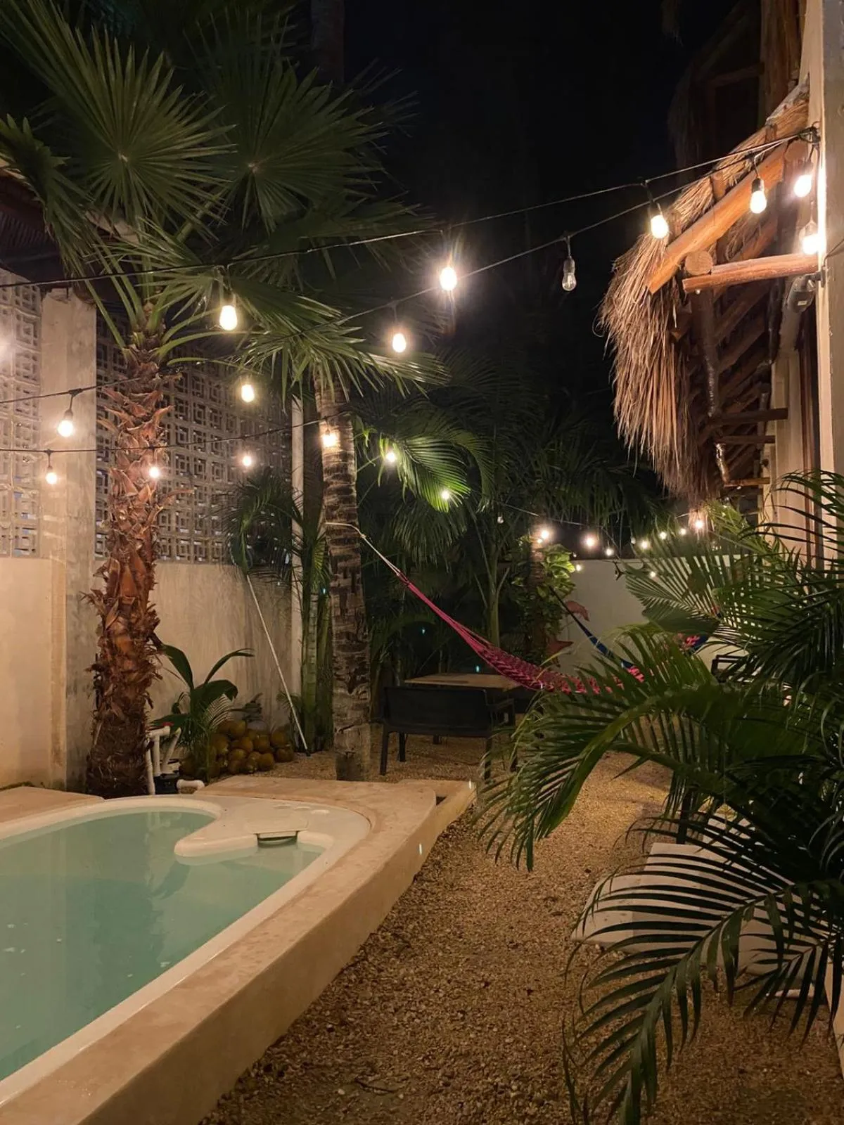 Night in Hotel Pelecanus Suites Holbox