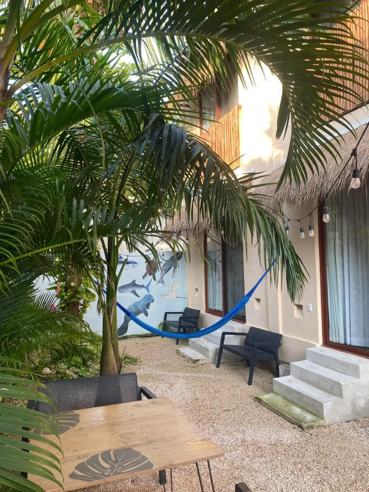 Patio in Hotel Pelecanus Suites Holbox