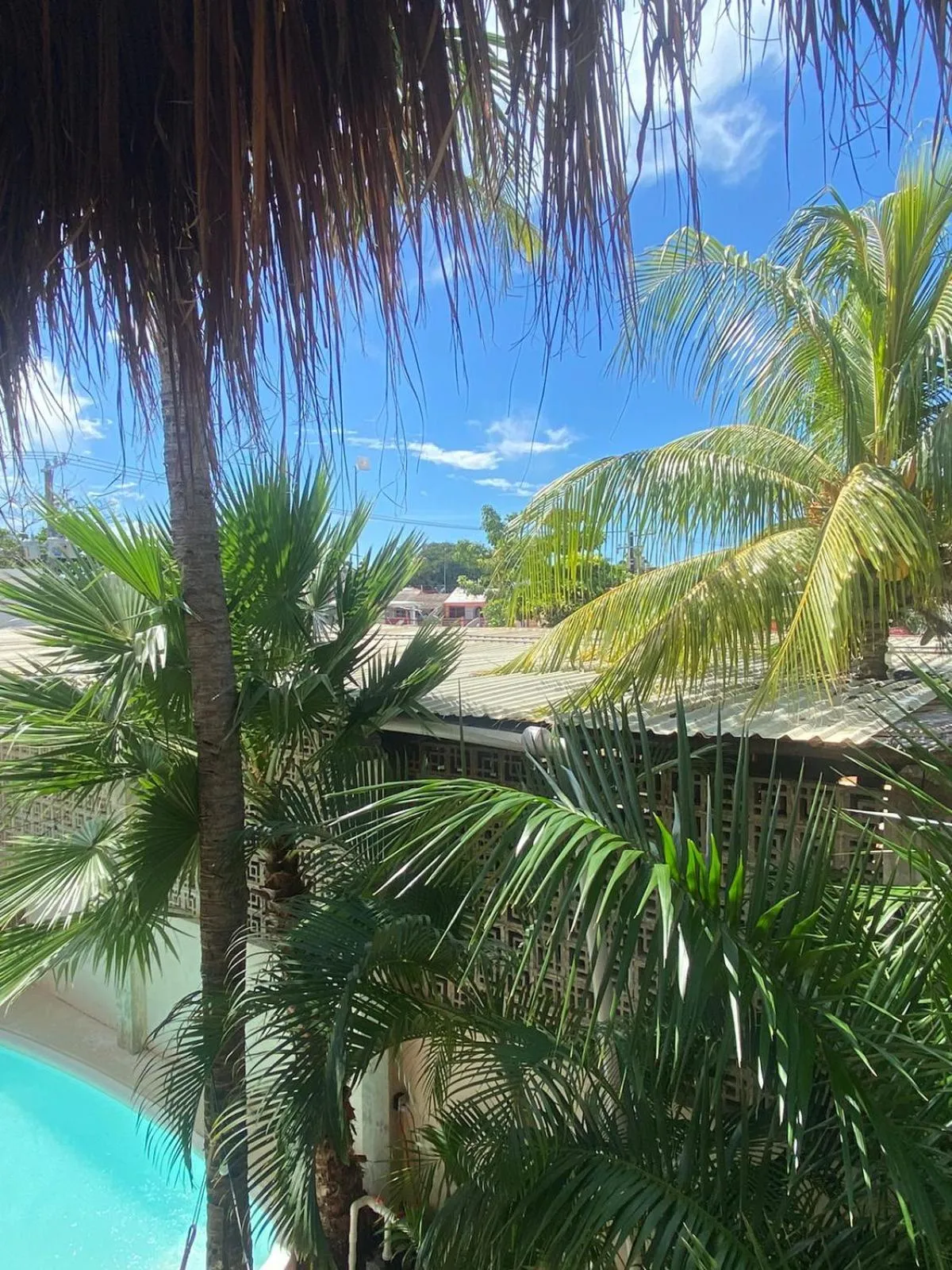 Garden in Hotel Pelecanus Suites Holbox