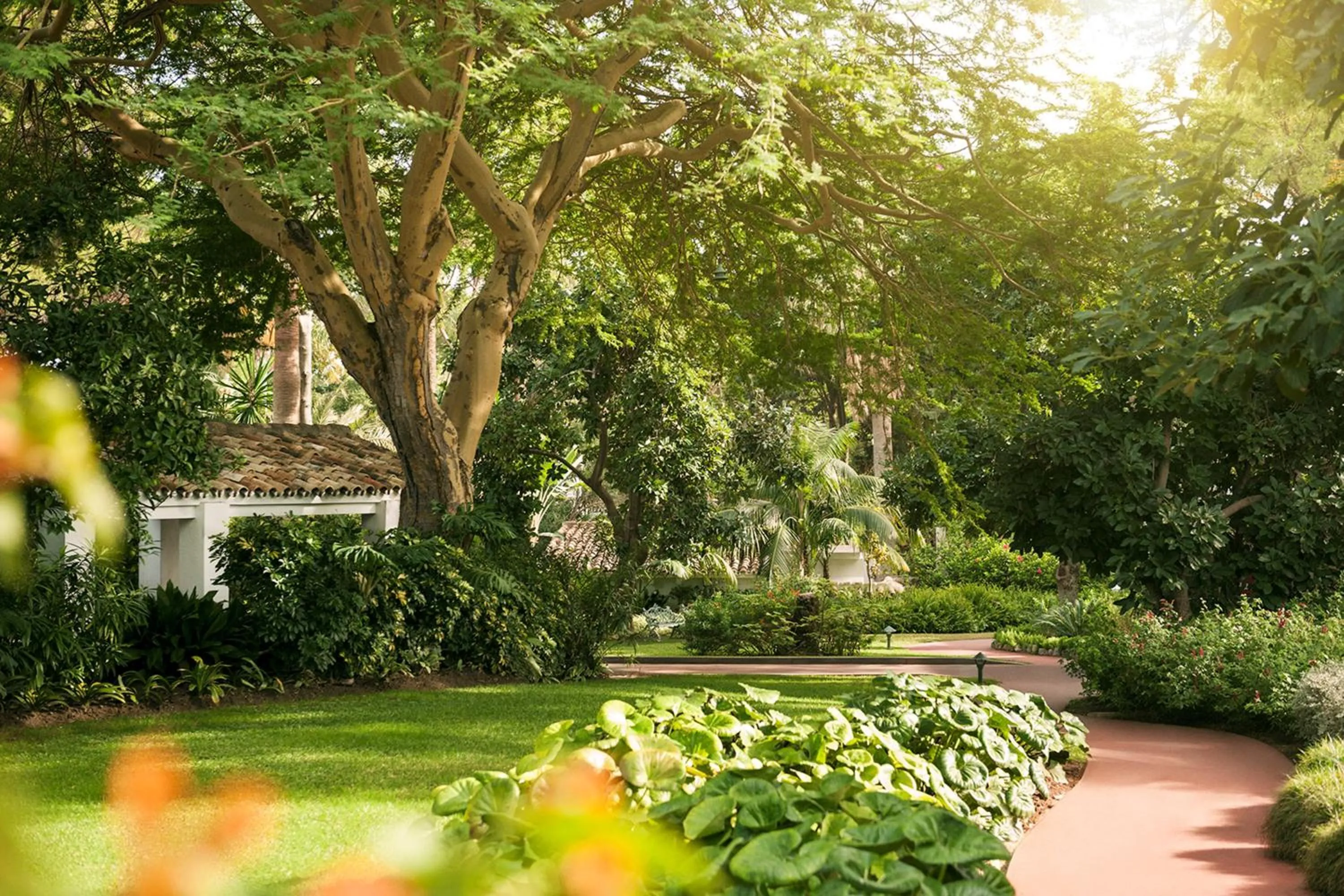 Garden in Marbella Club Hotel · Golf Resort & Spa