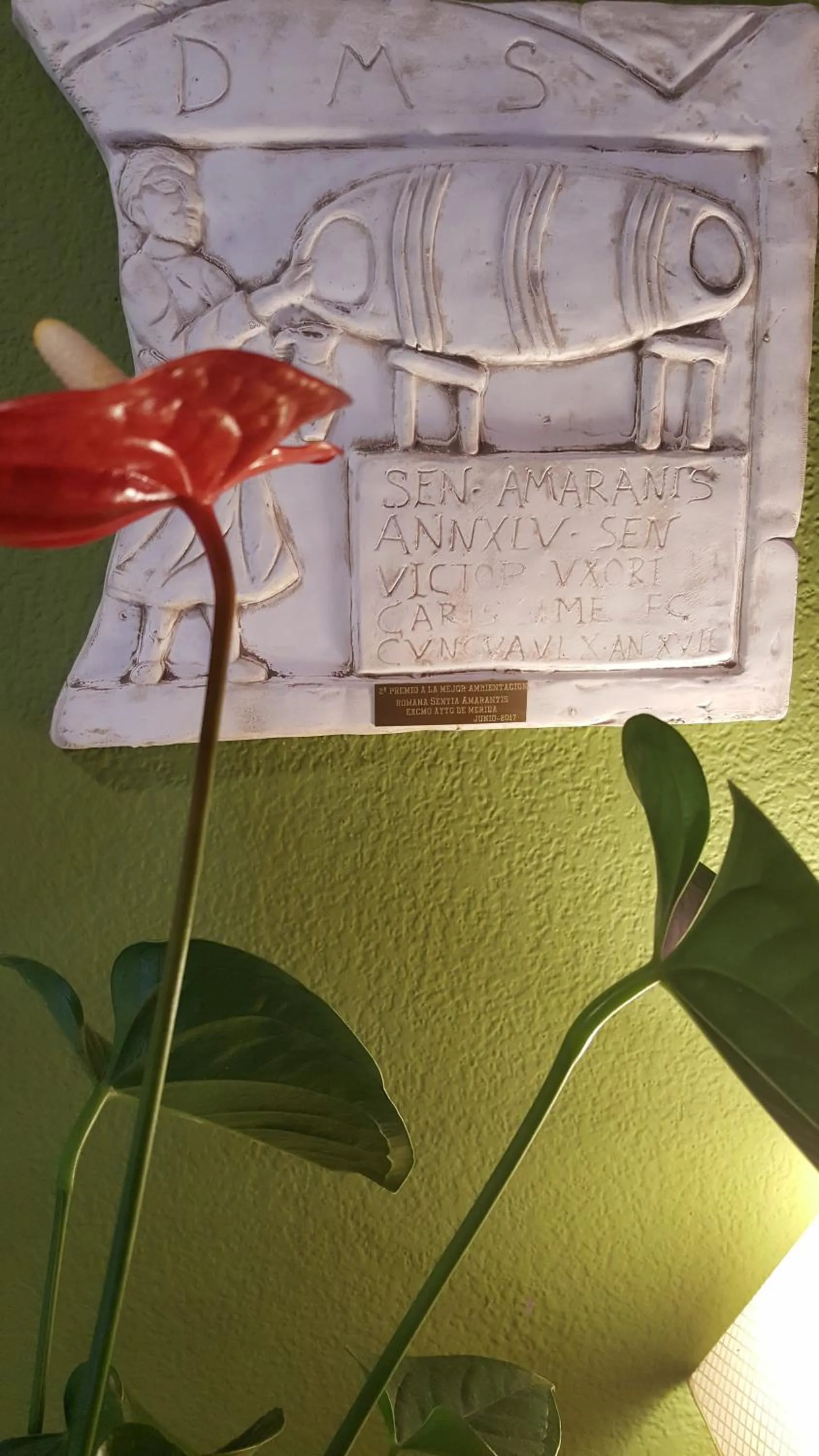 Certificate/Award in Las Abadías