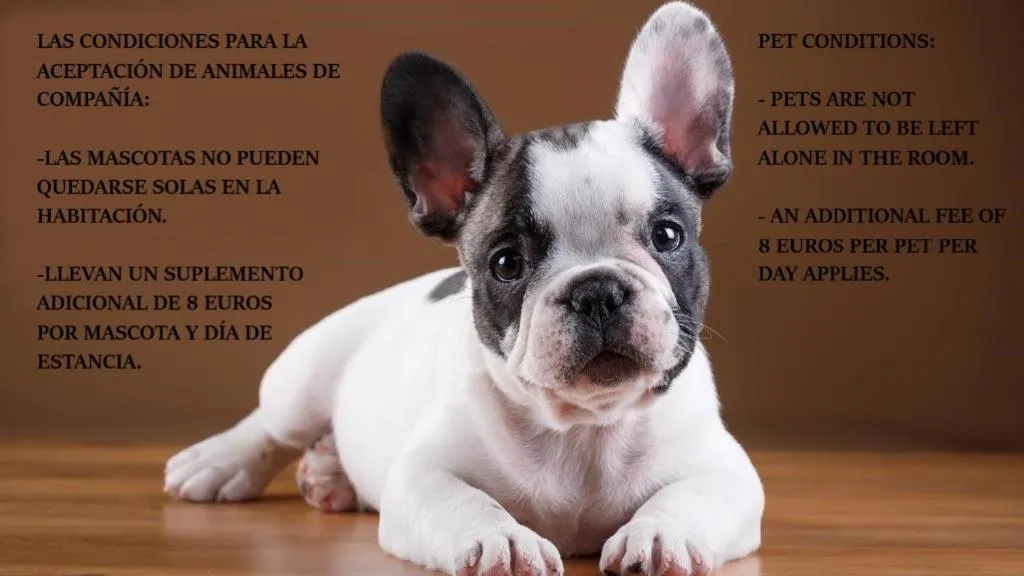 Animals in Las Abadías