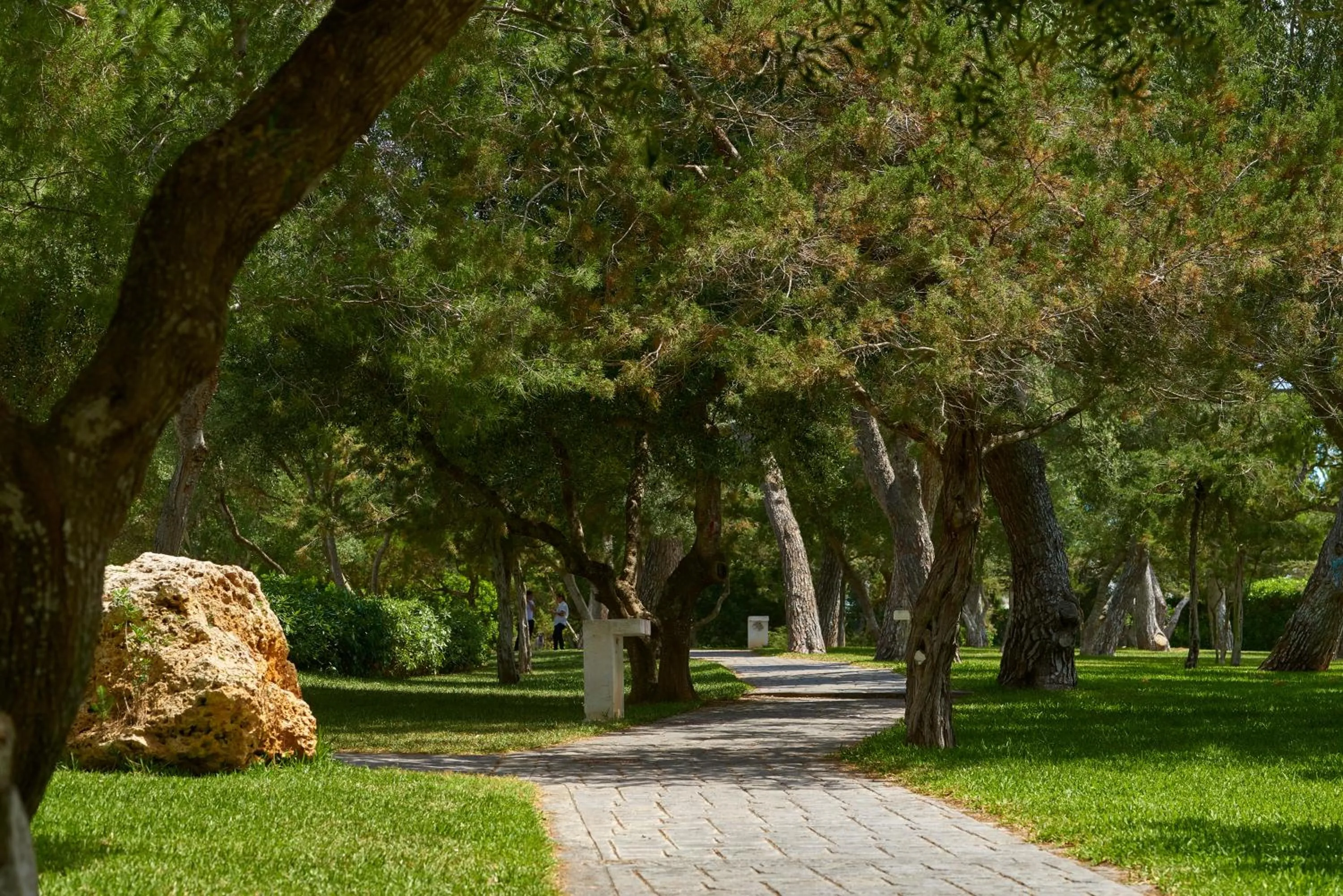 Garden in Hotel Cala d'Or Playa