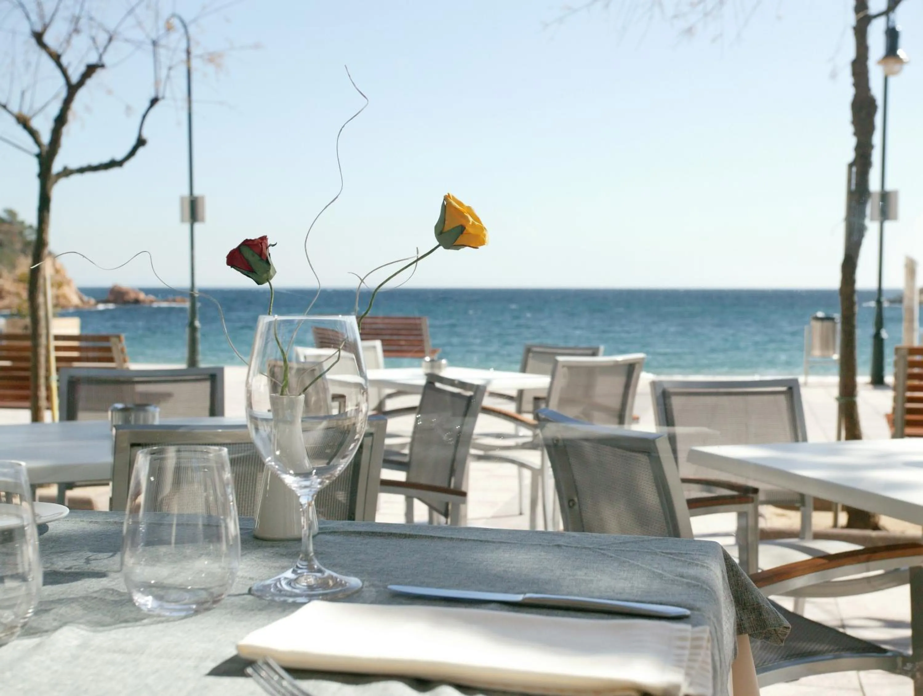 View (from property/room) in Hotel Tamariu