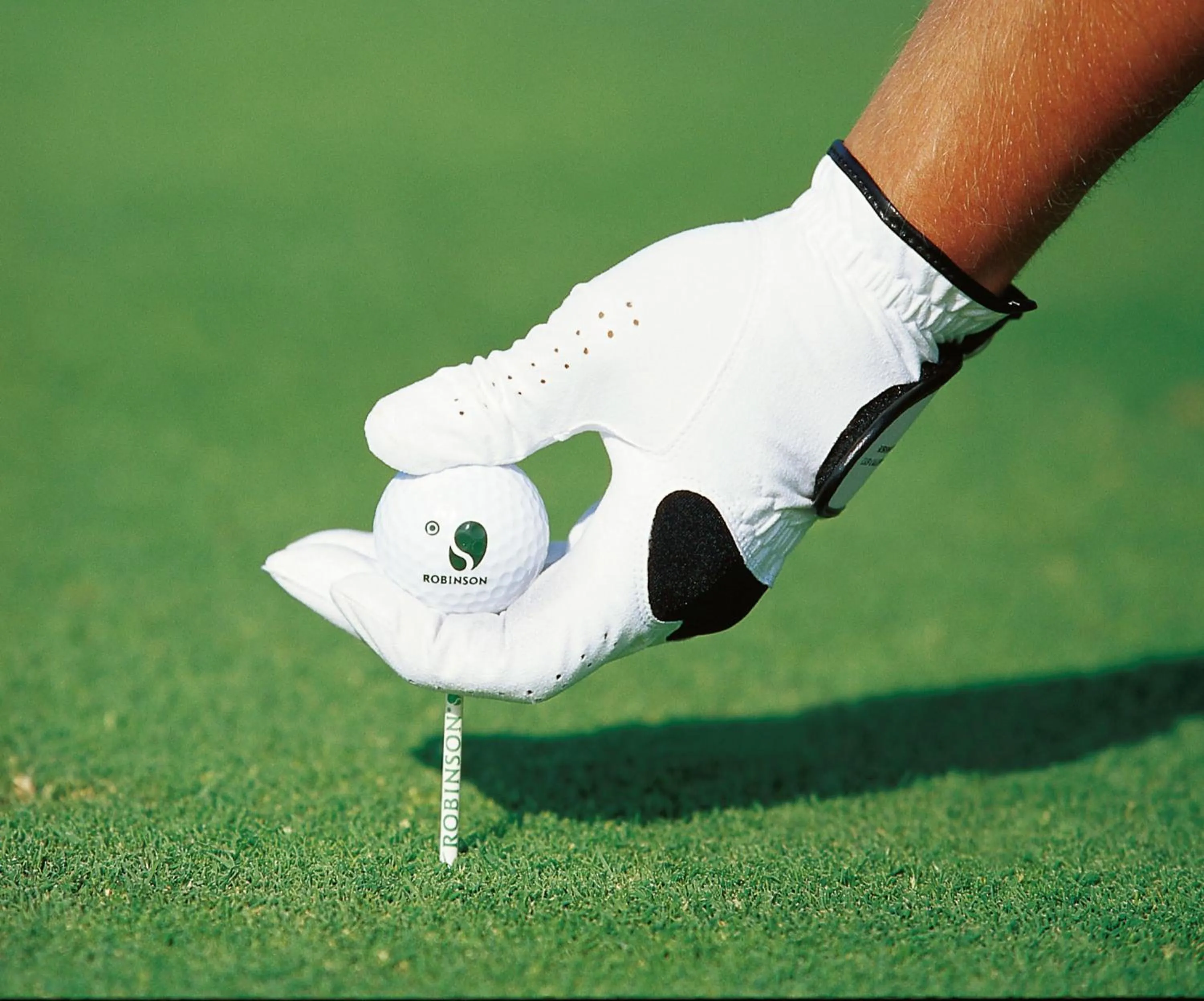 Golfcourse in ROBINSON Cala Serena