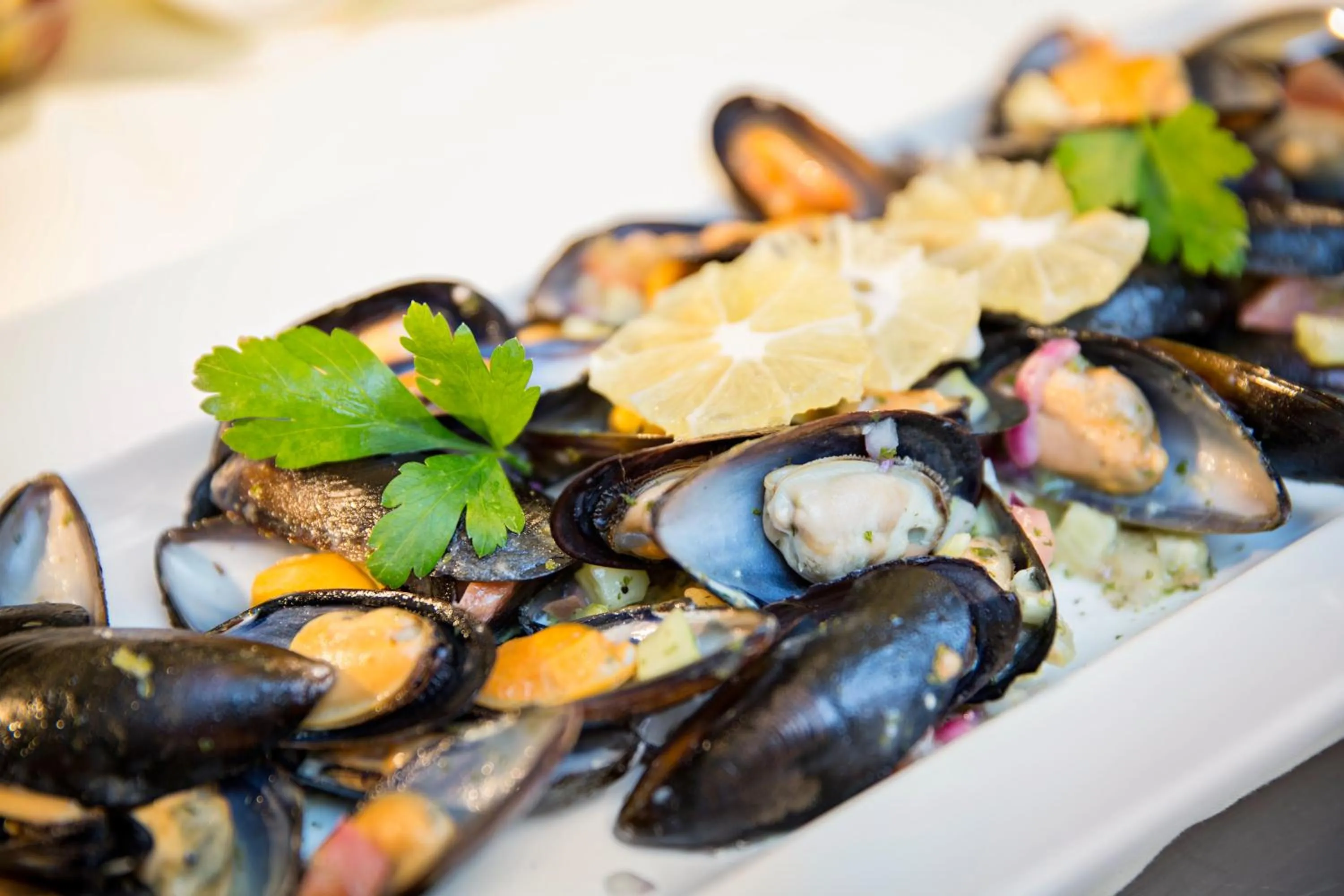 Food in ROBINSON Cala Serena