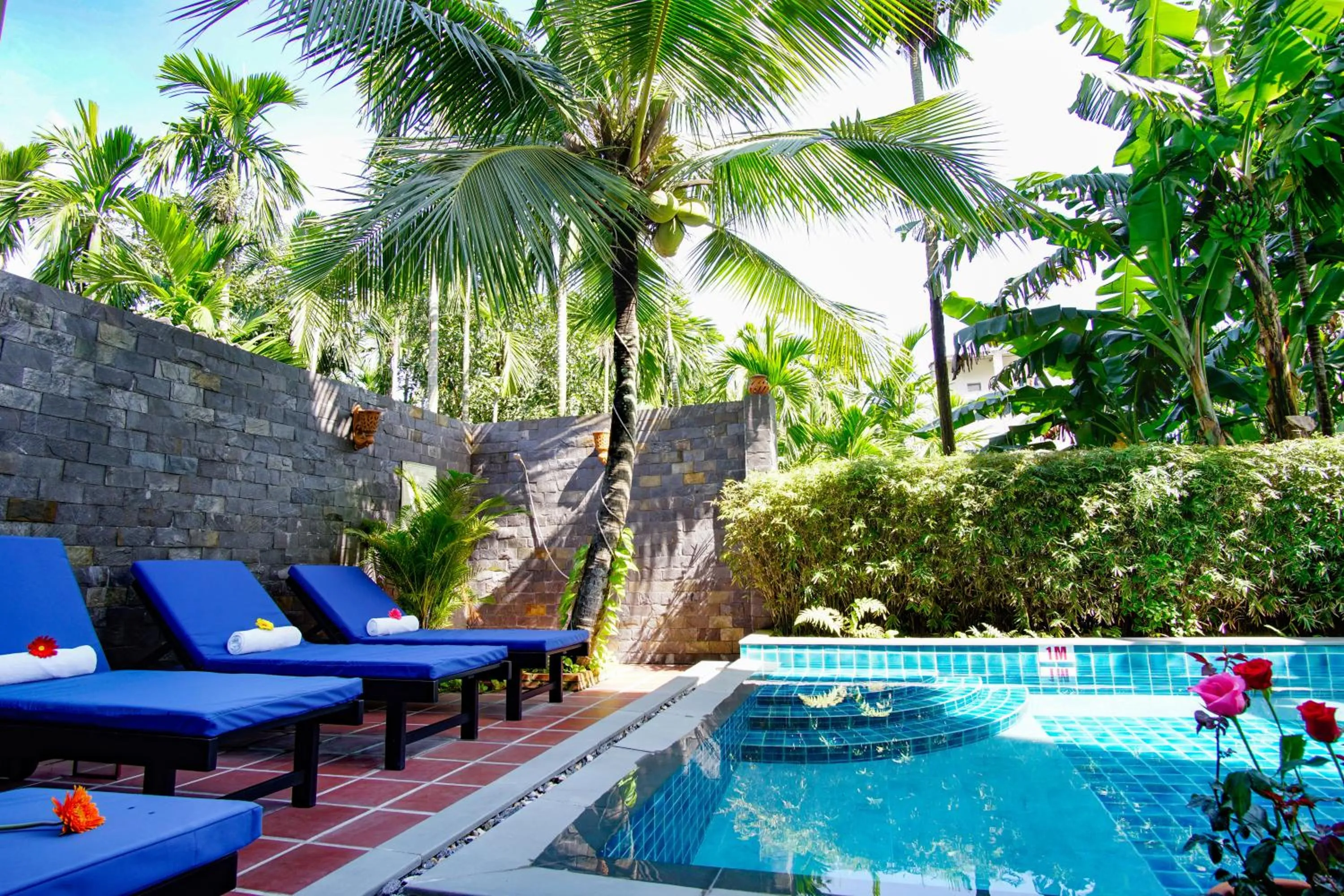Swimming pool in Rural Scene Villa