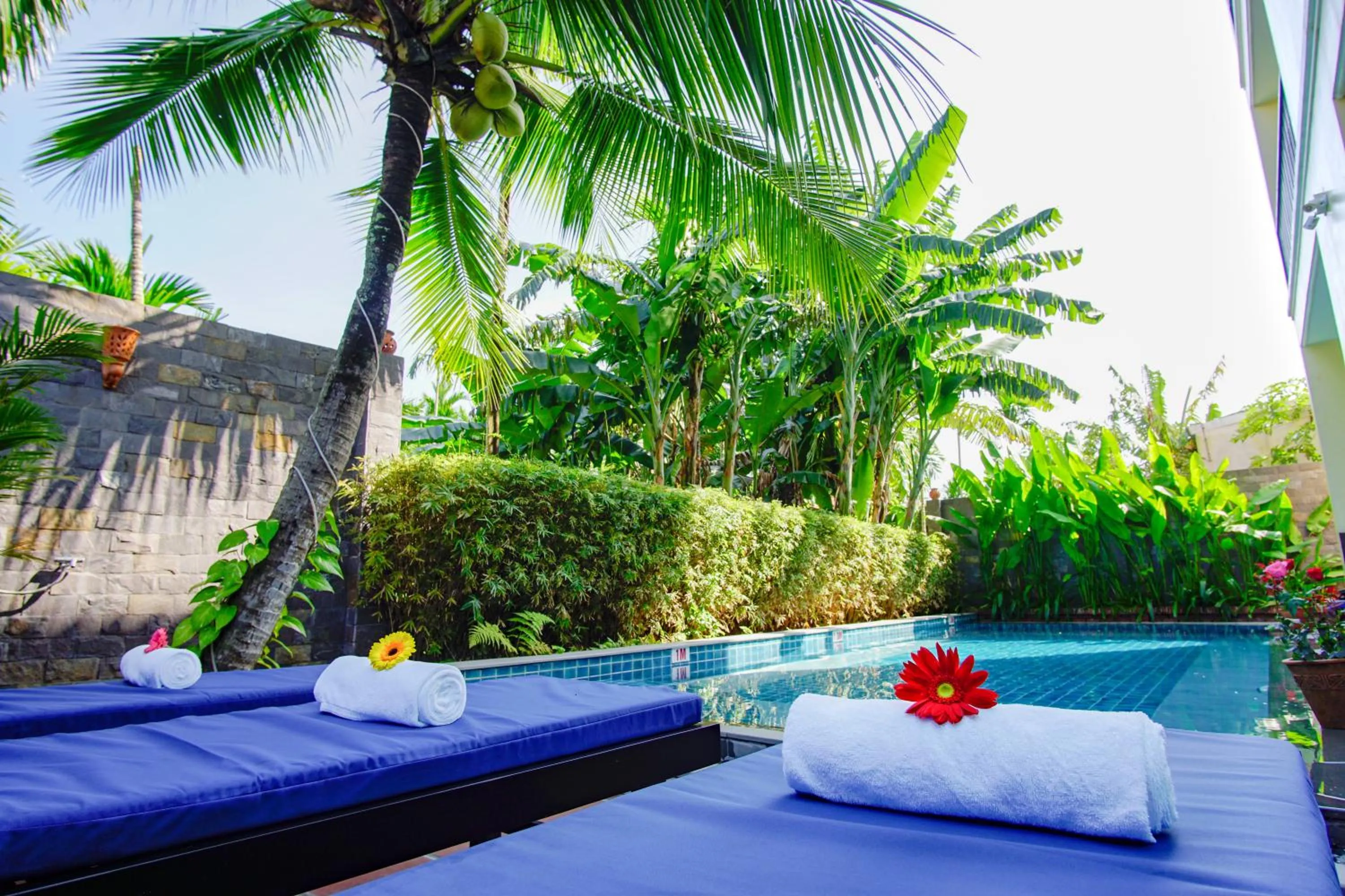 Swimming pool in Rural Scene Villa