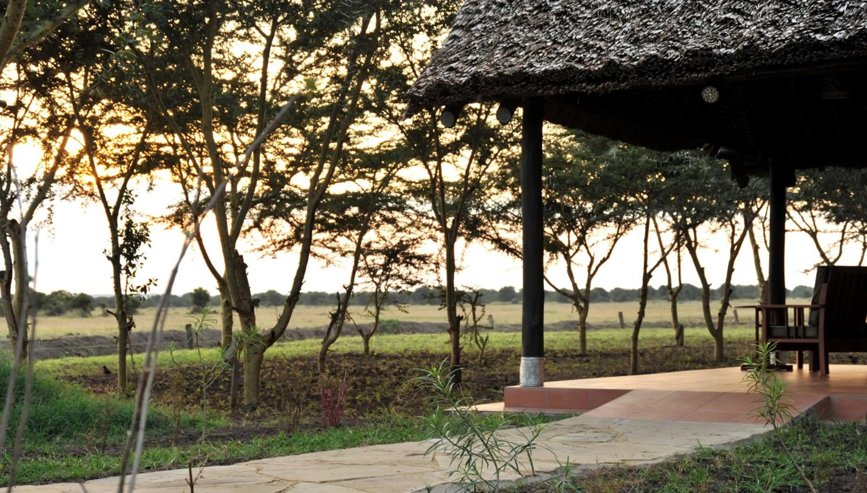 Balcony/Terrace in Sweetwaters Serena Camp