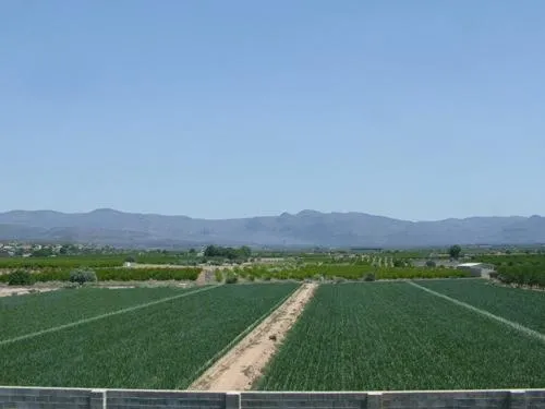 Area and facilities in Hotel Puerta de la Serrania