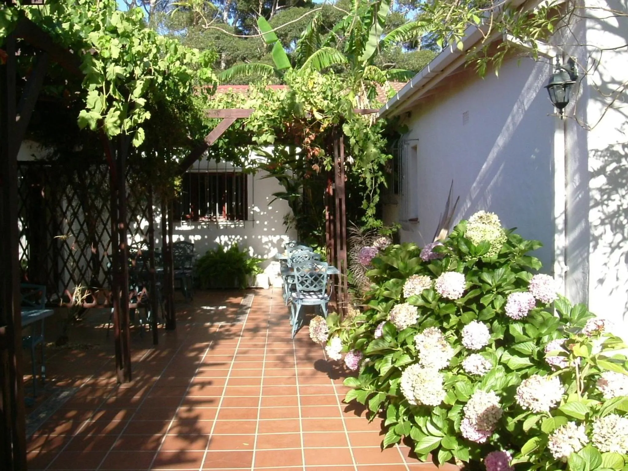 Patio in Vine Guesthouse
