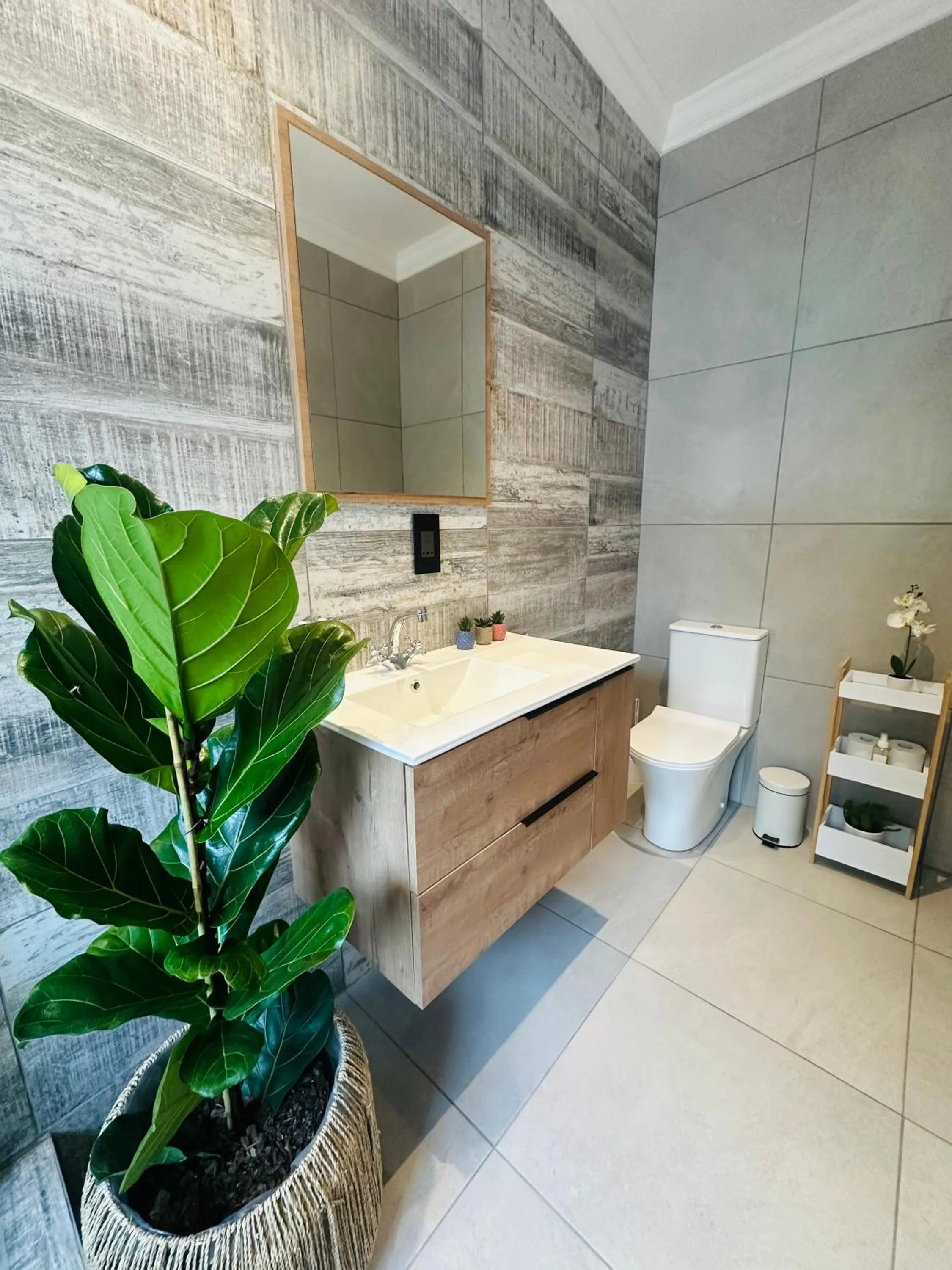 Toilet in Vine Guesthouse