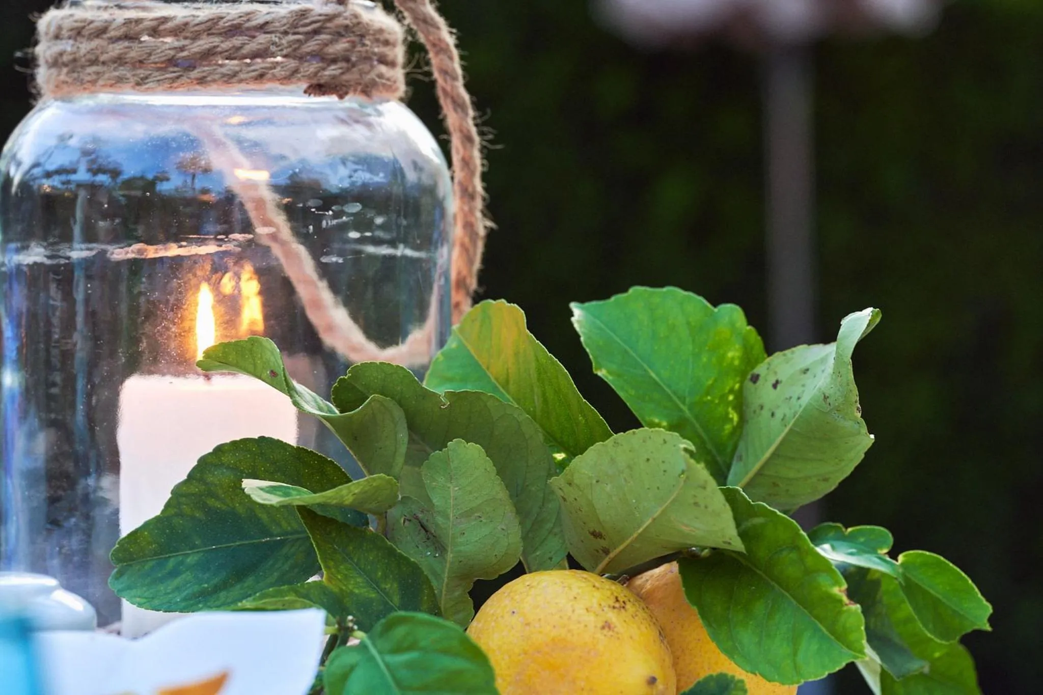 Lounge or bar in Posada d' Es Molí