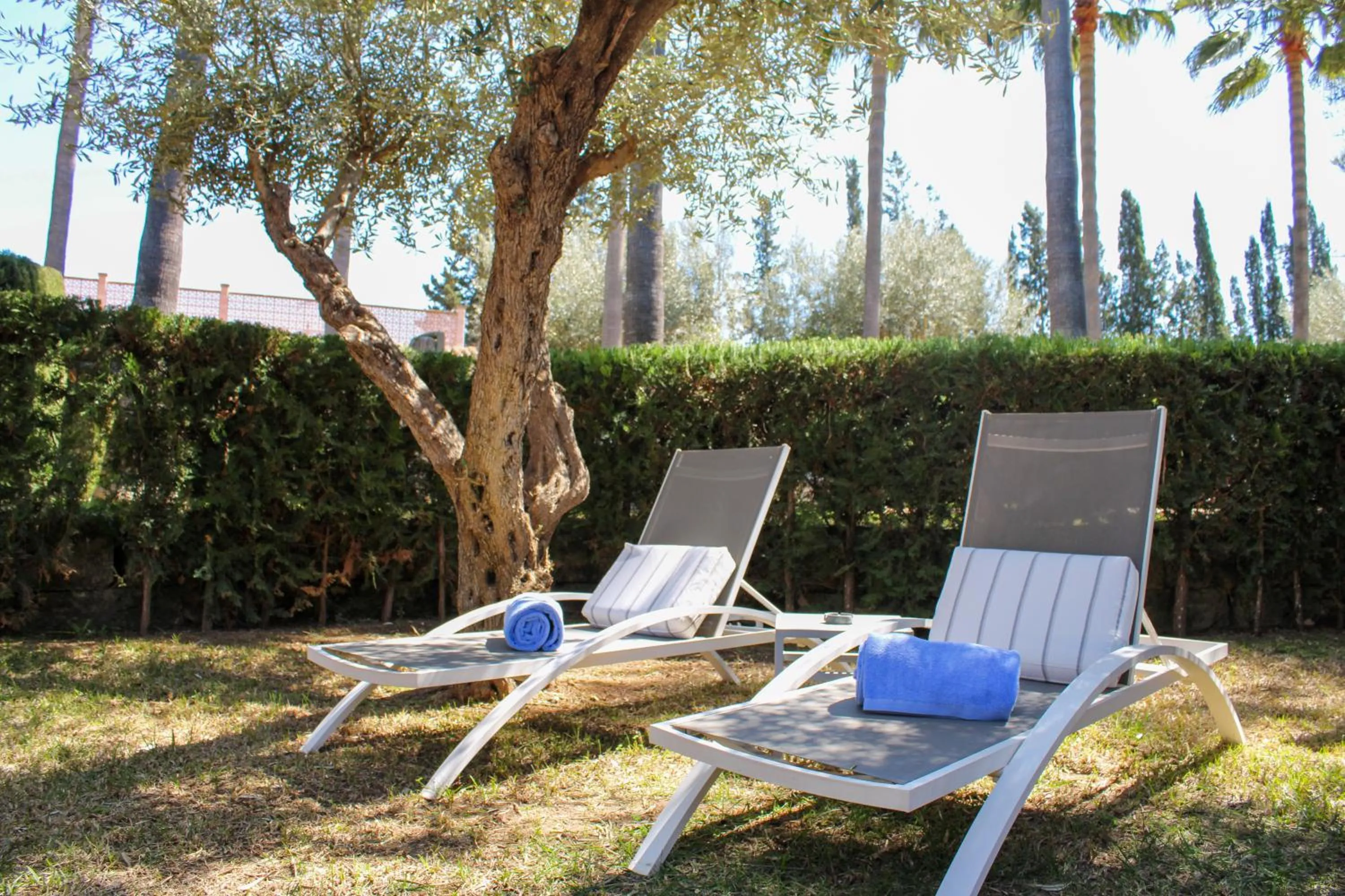 Garden in Hotel Son Molí Country House