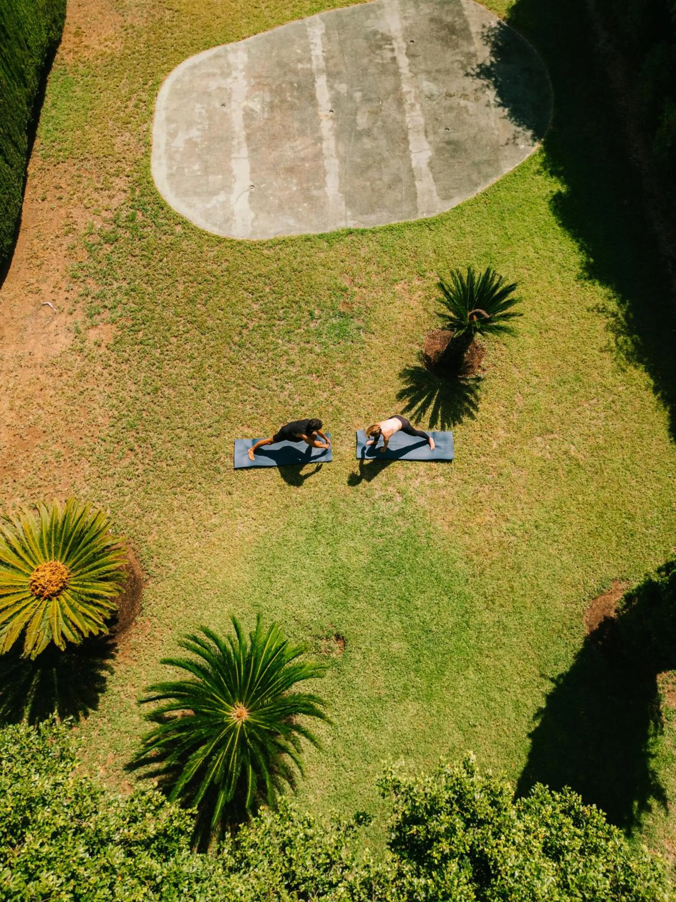 Garden in Hotel Son Molí Country House