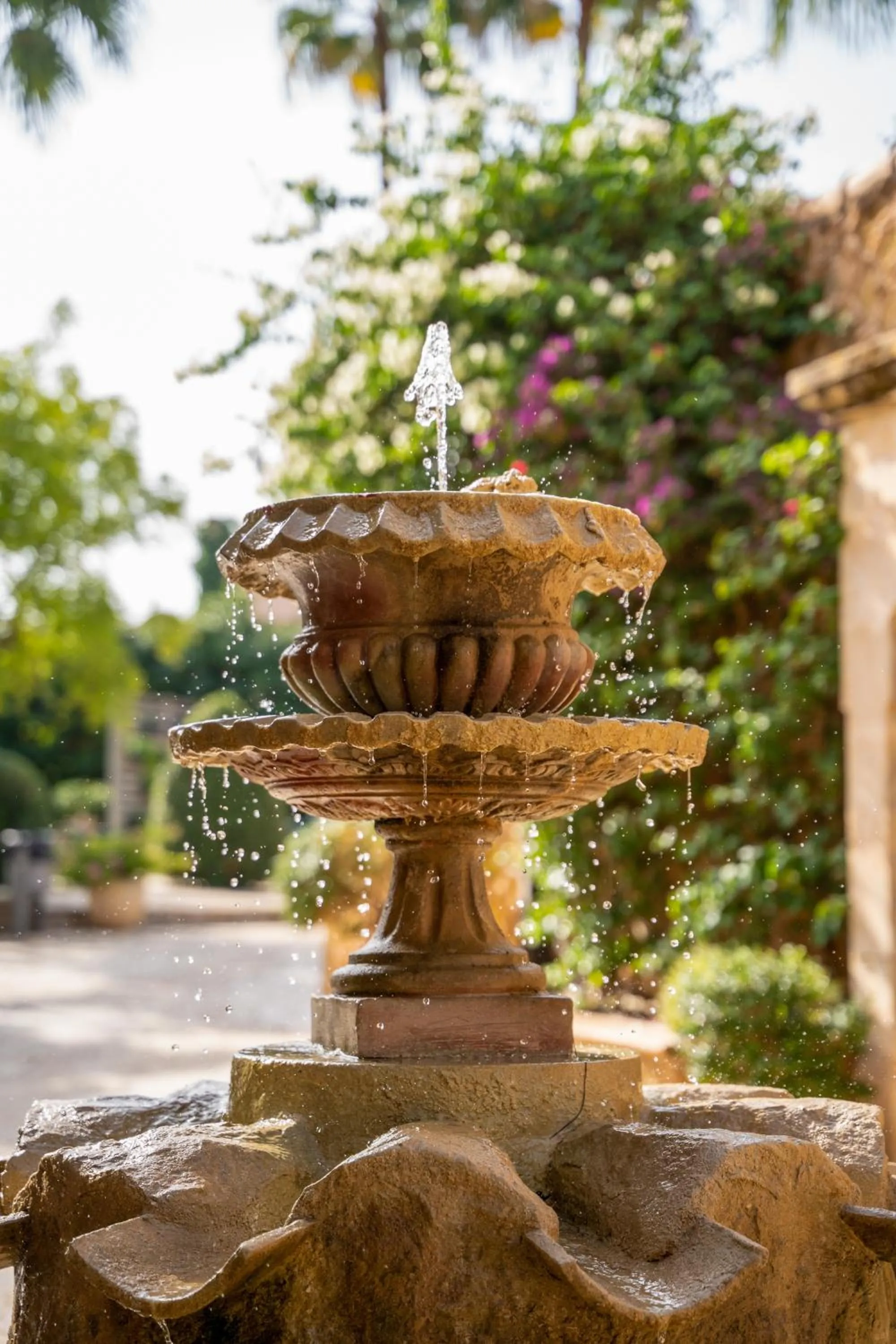 Off site in Posada d' Es Molí