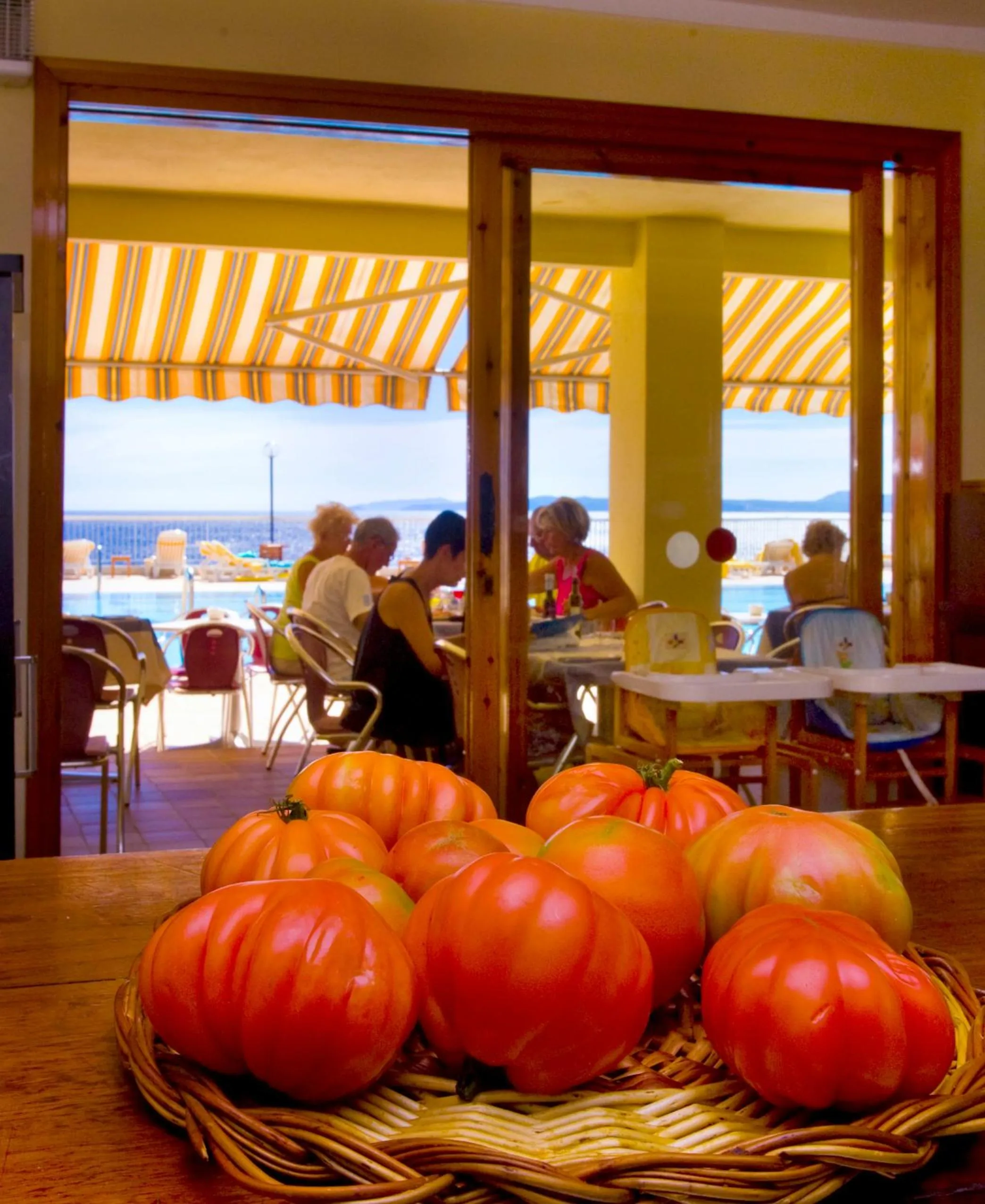 Day in Almadraba Park Hotel